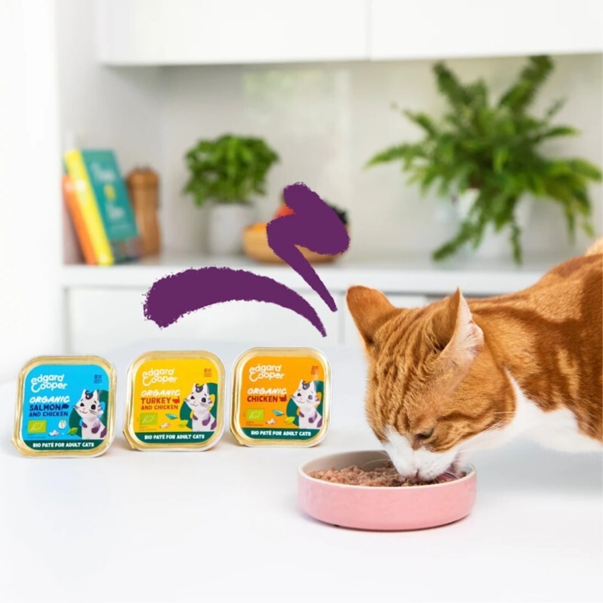 Edgard & Cooper Adult Pollo Ecológico Paté Tarrina 85 Gr para Gatos - 3
