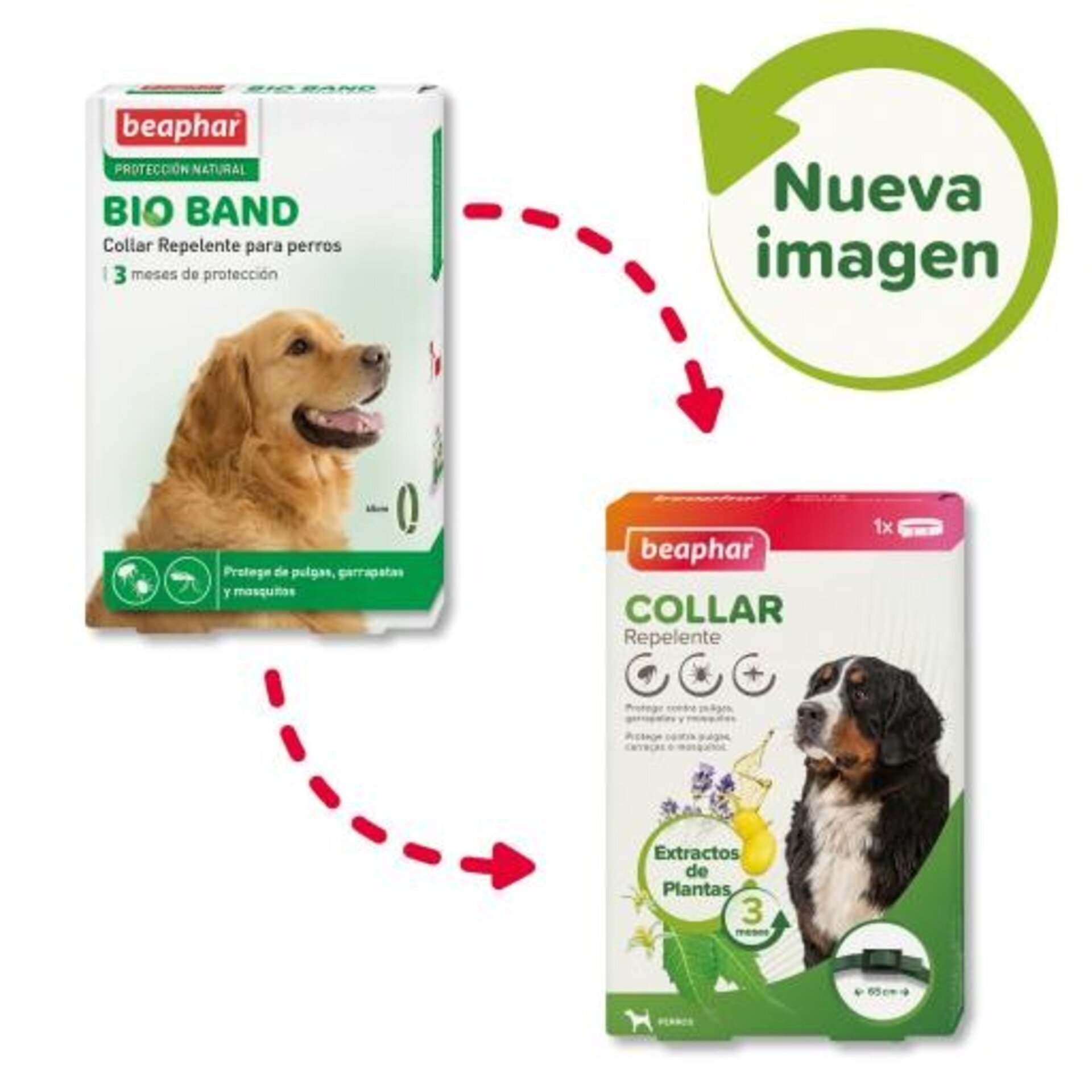 Beaphar Collar Bio Band Repelente para Perro - 2