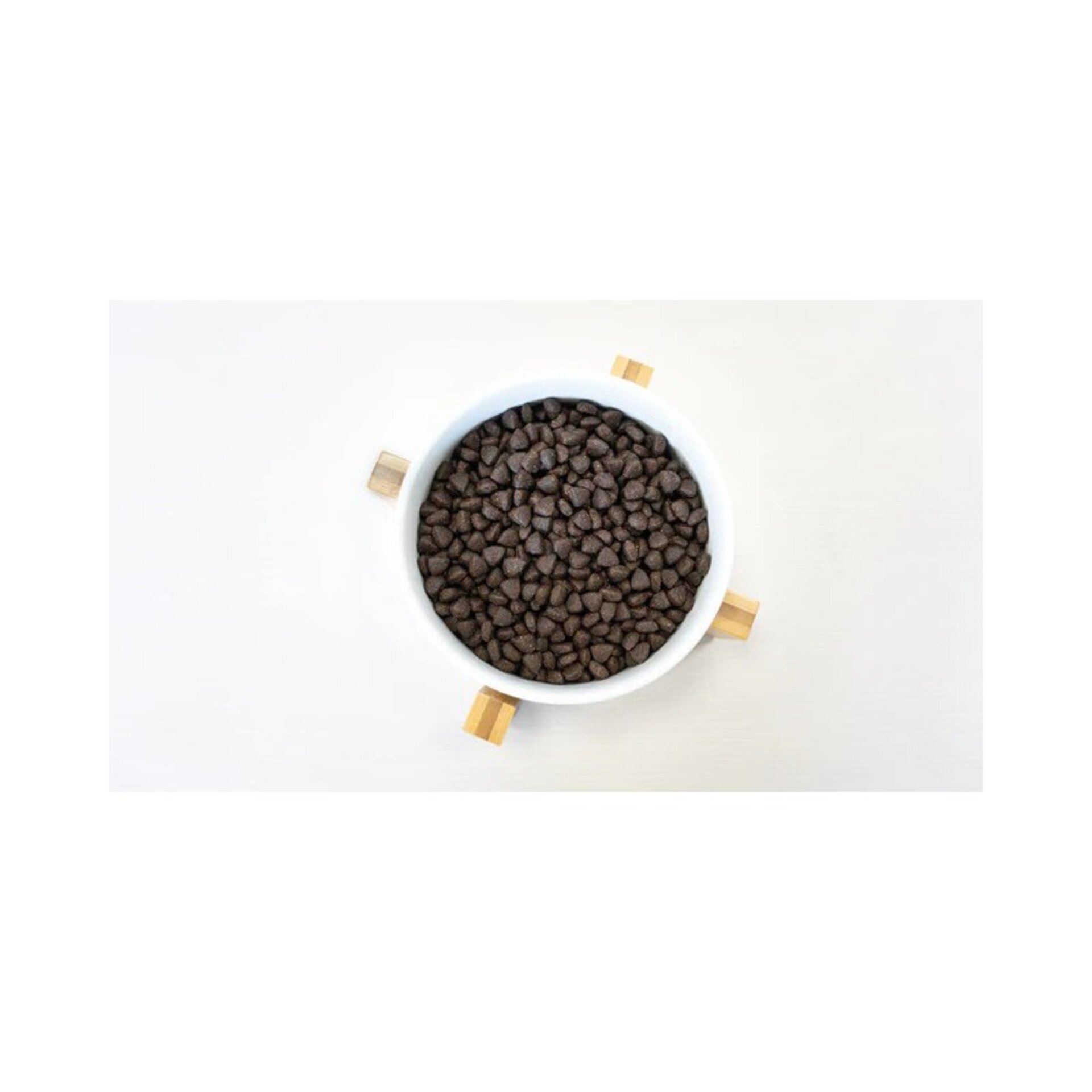 Lenda Puppy Medium - 3