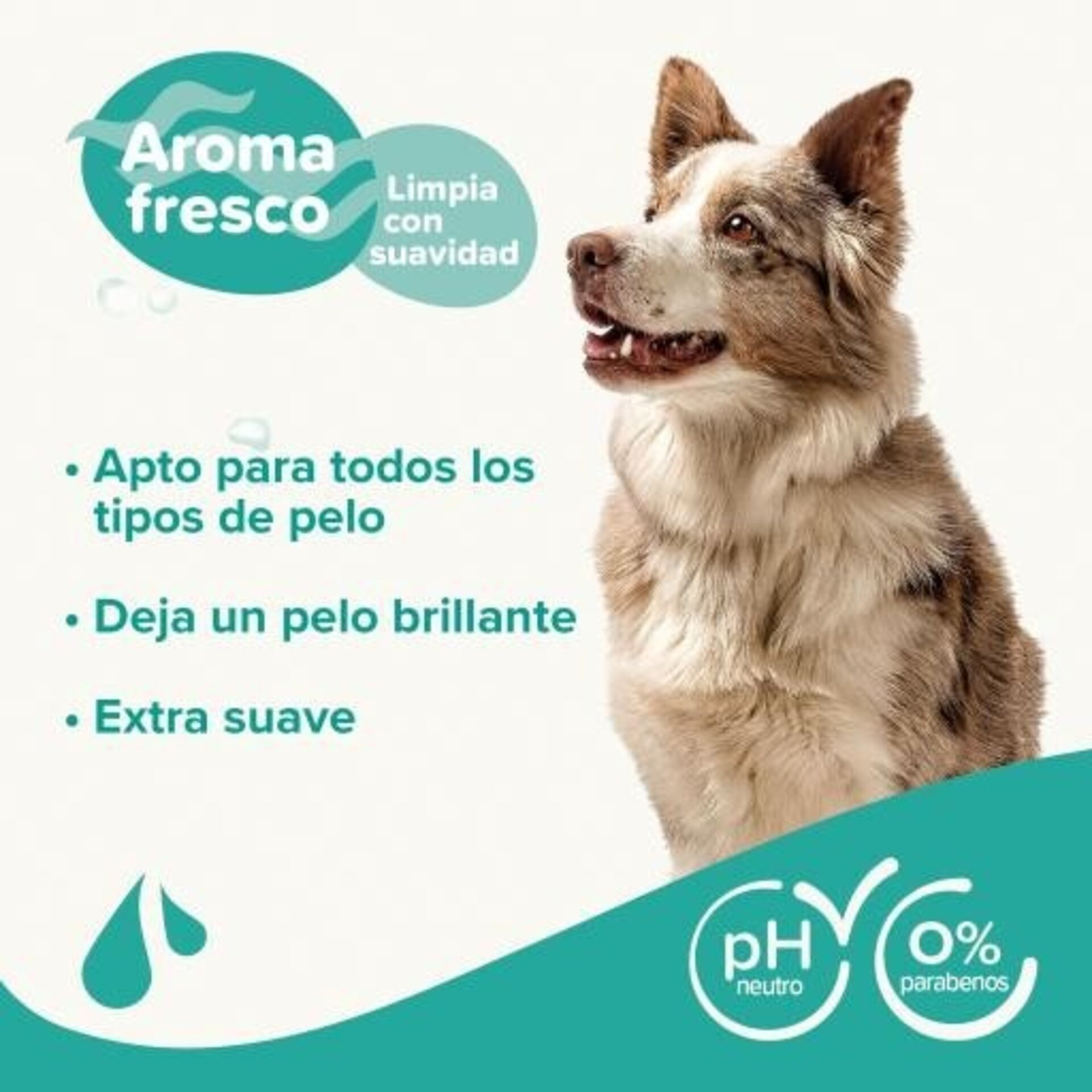 Beaphar Champú para Perros Universal - 4