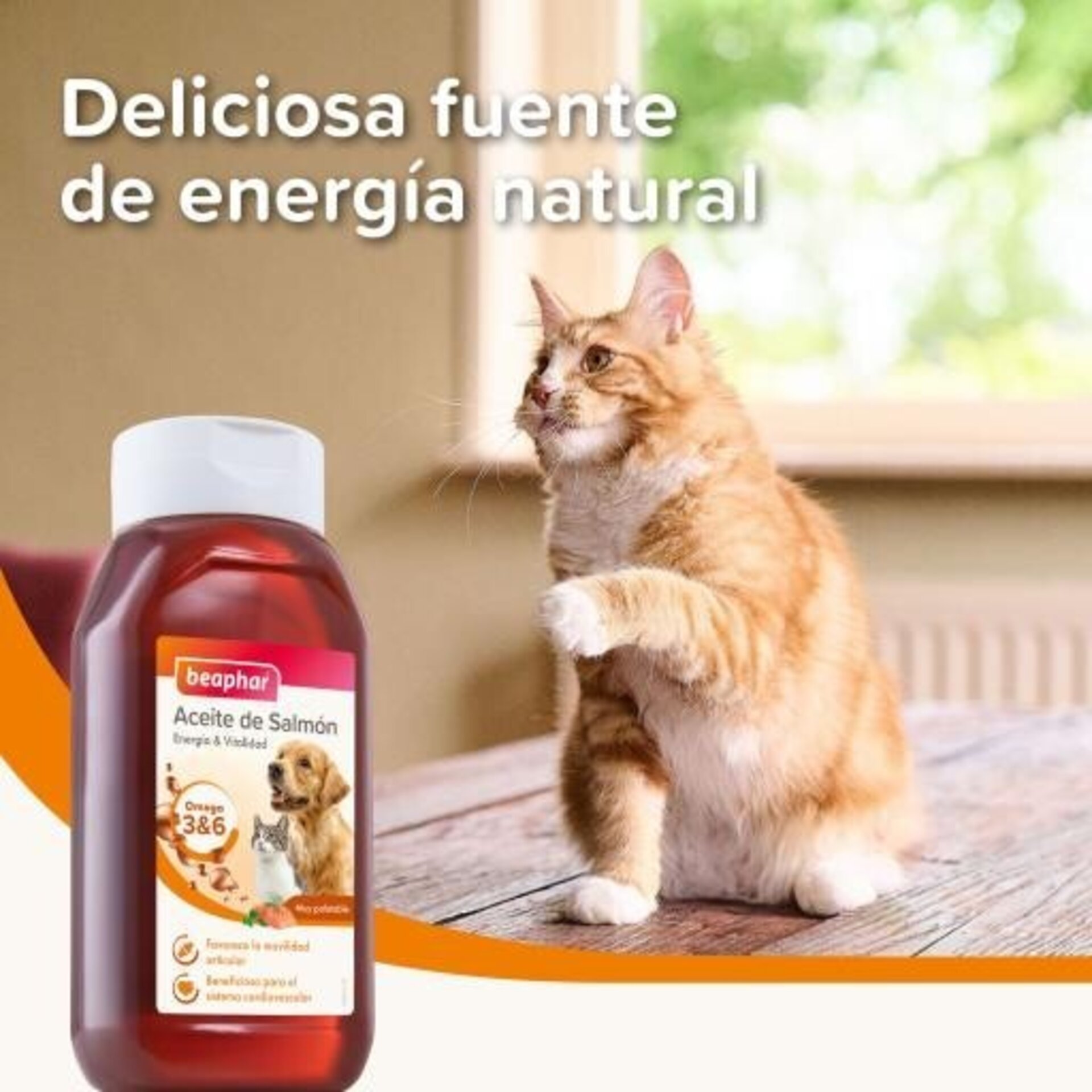 Beaphar Aceite De Salmón - 4