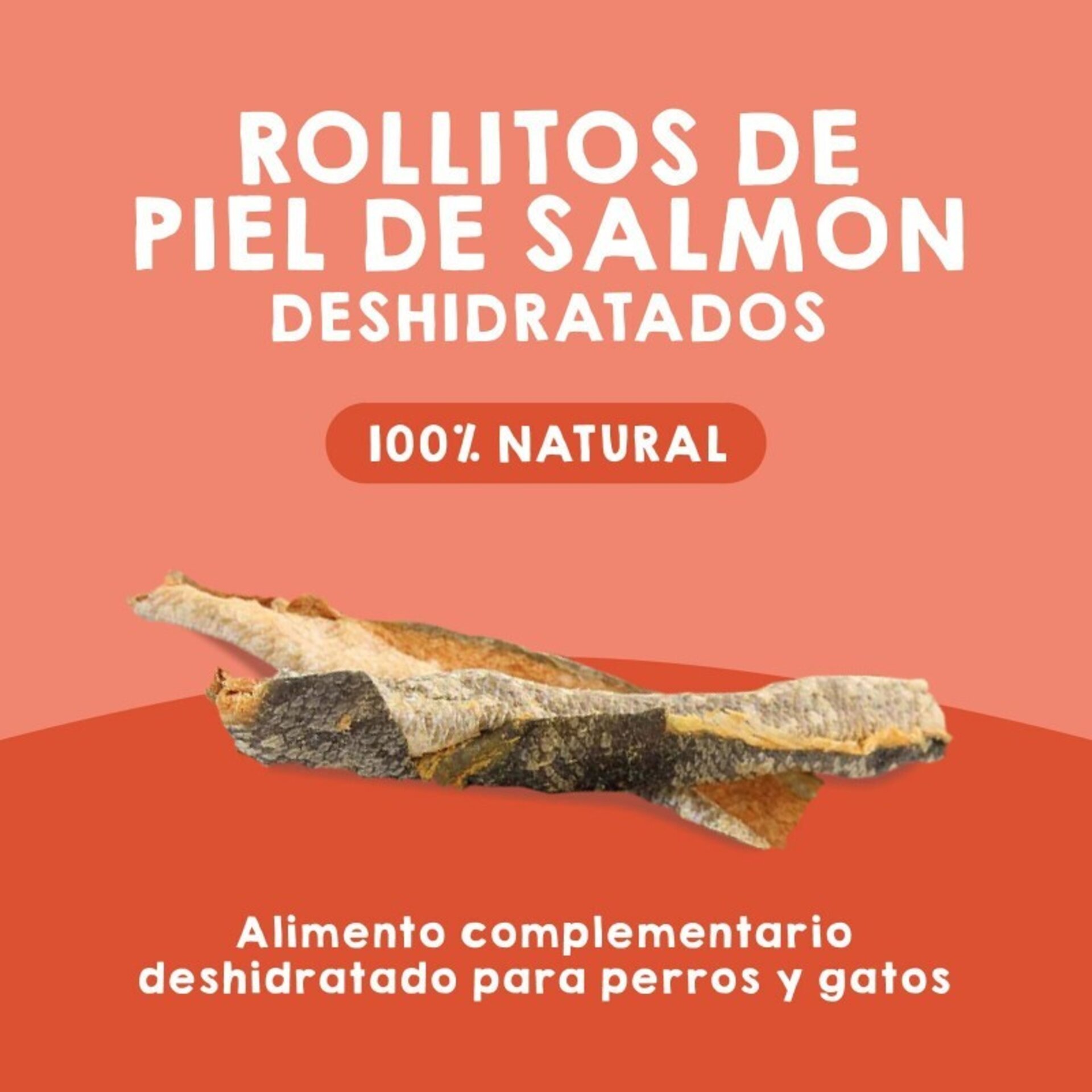 Rollitos crujientes de piel de salmón - 2