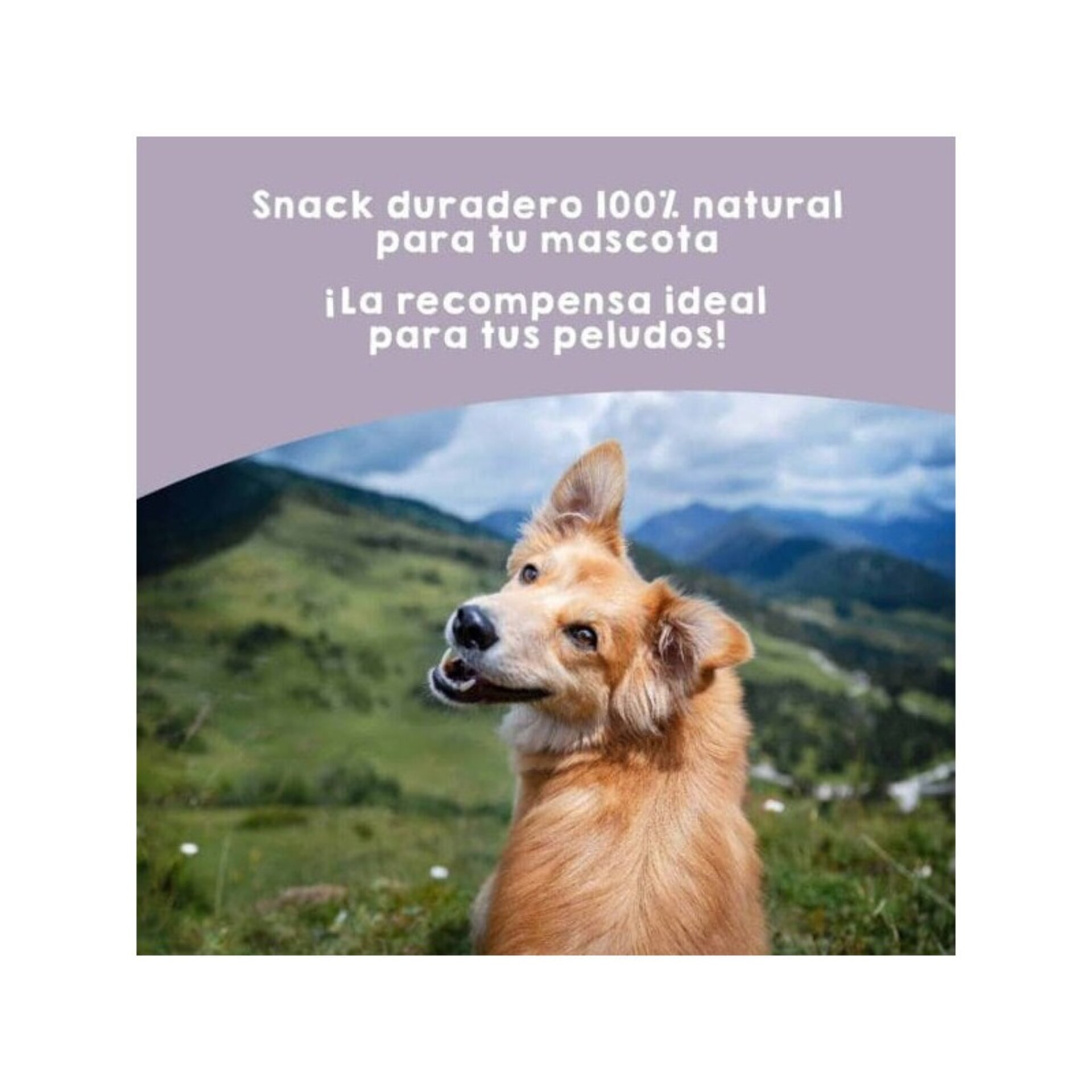 Nervios de Toro para perros - 5