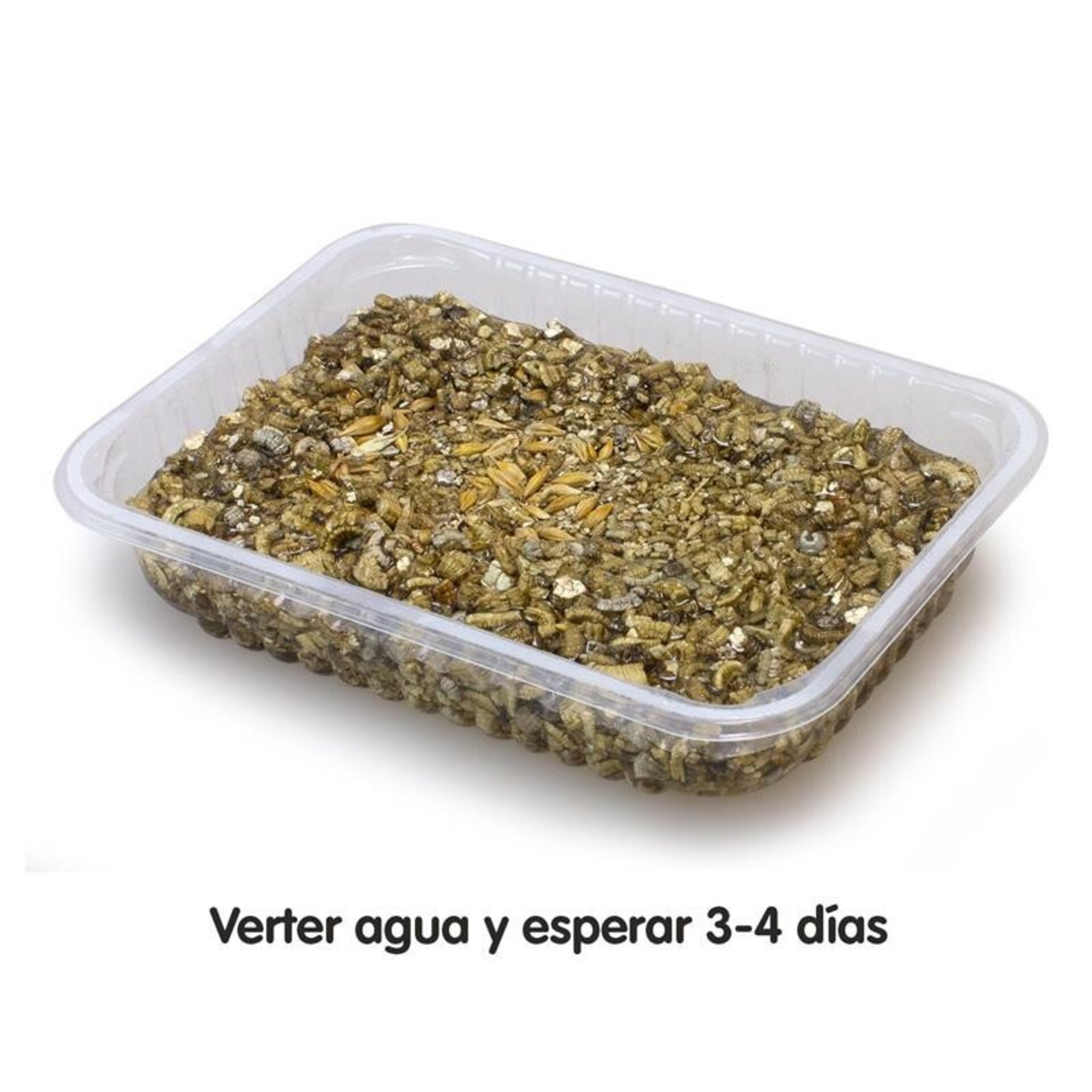 Hierba para roedores y gatos - Arquivet - 2
