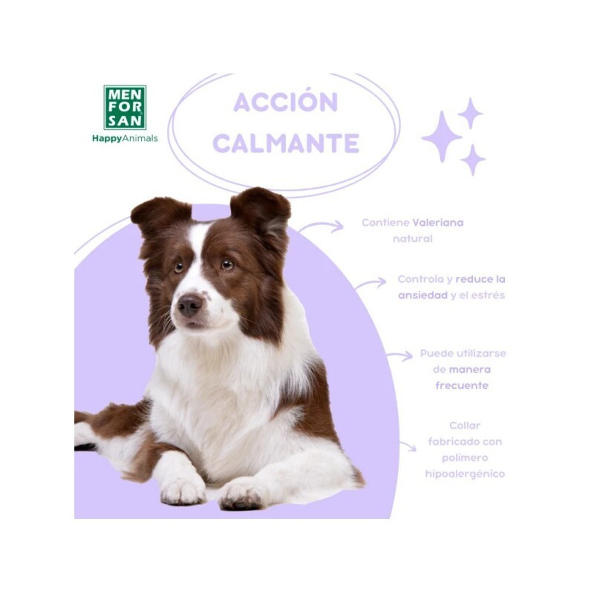 Collar calmante para perros - 3