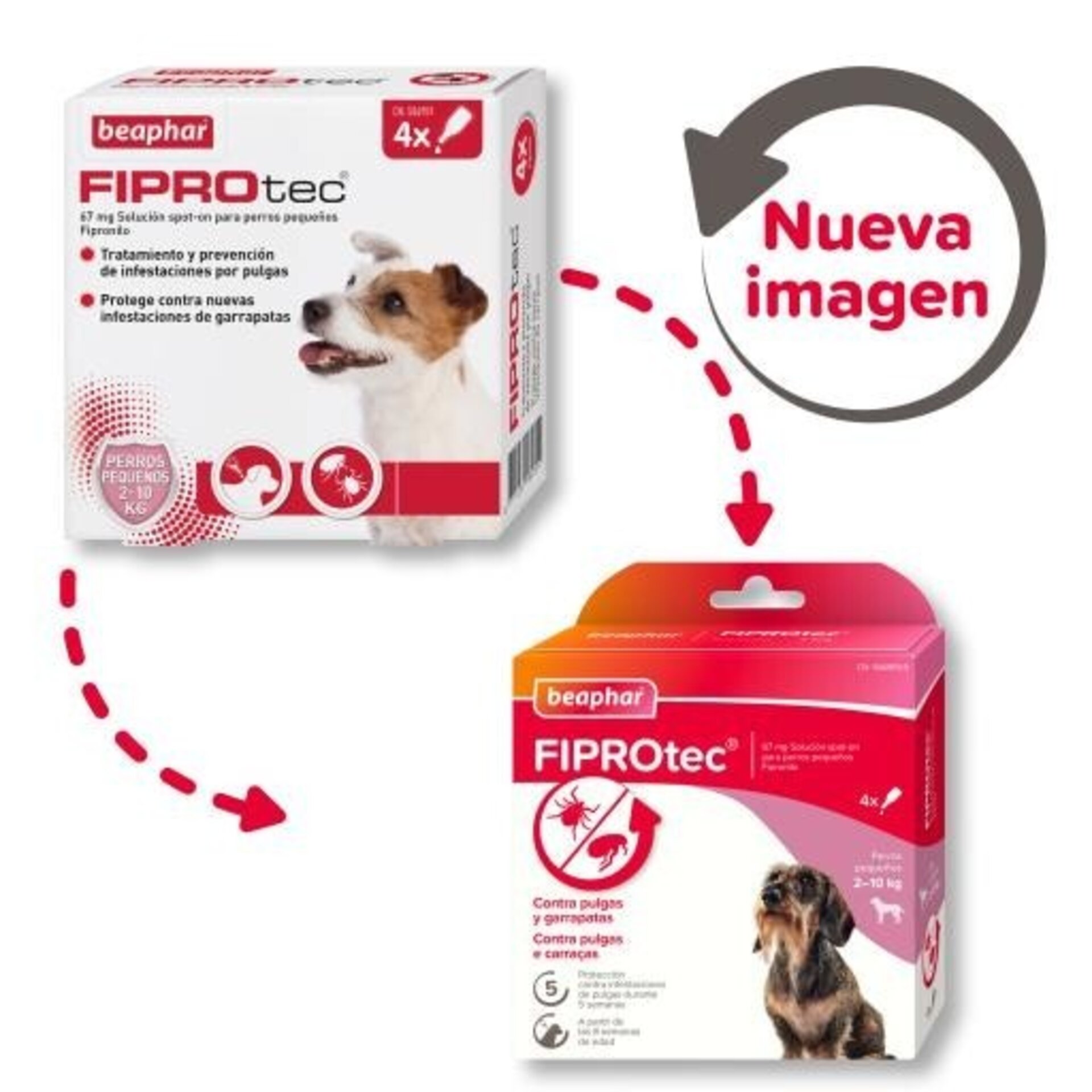 Beaphar Fiprotec Pipetas Spot-On para Perros de 2-10 Kg (67mg) - 2