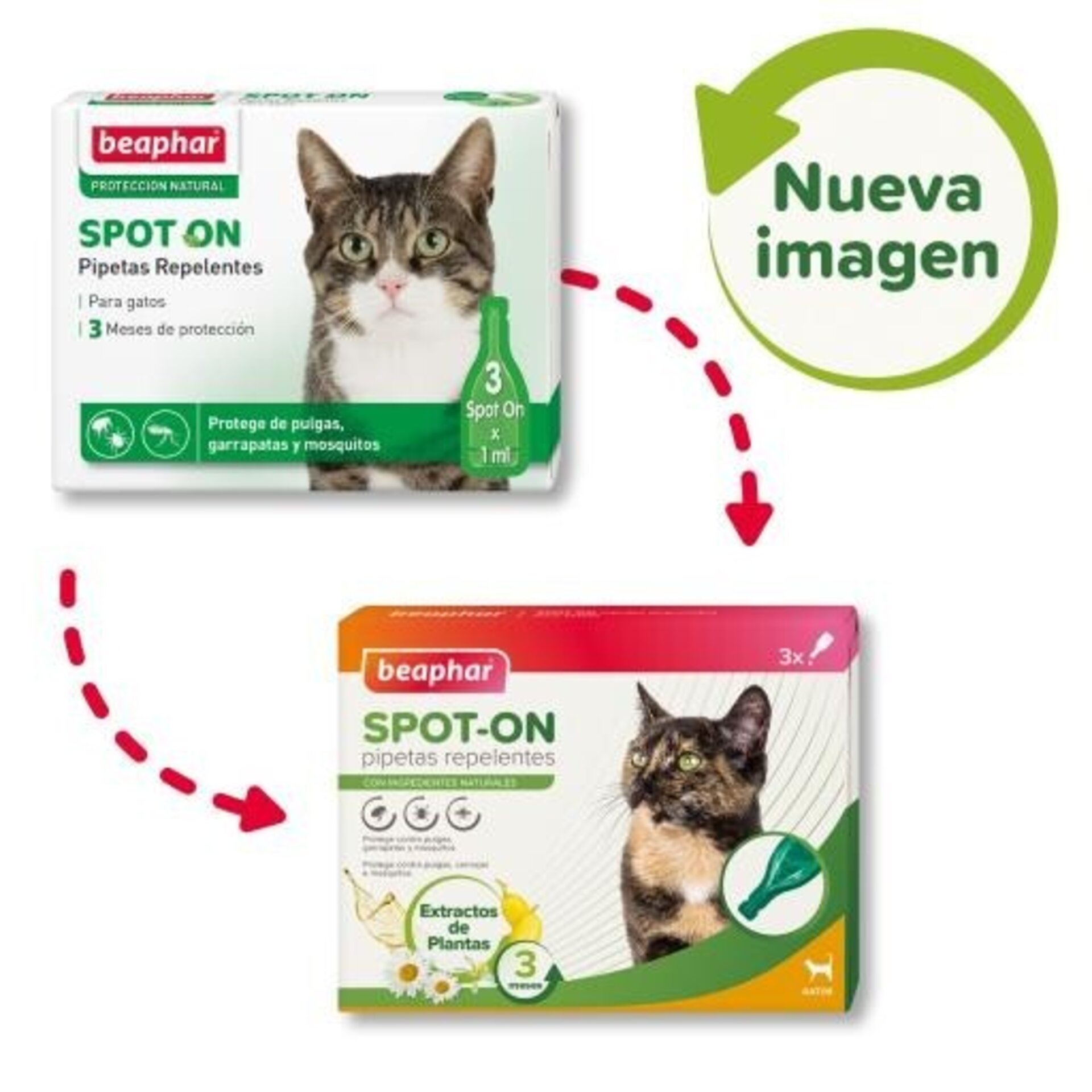 Beaphar Pipetas Spot On Antiparasitario Natural para Gato - 2