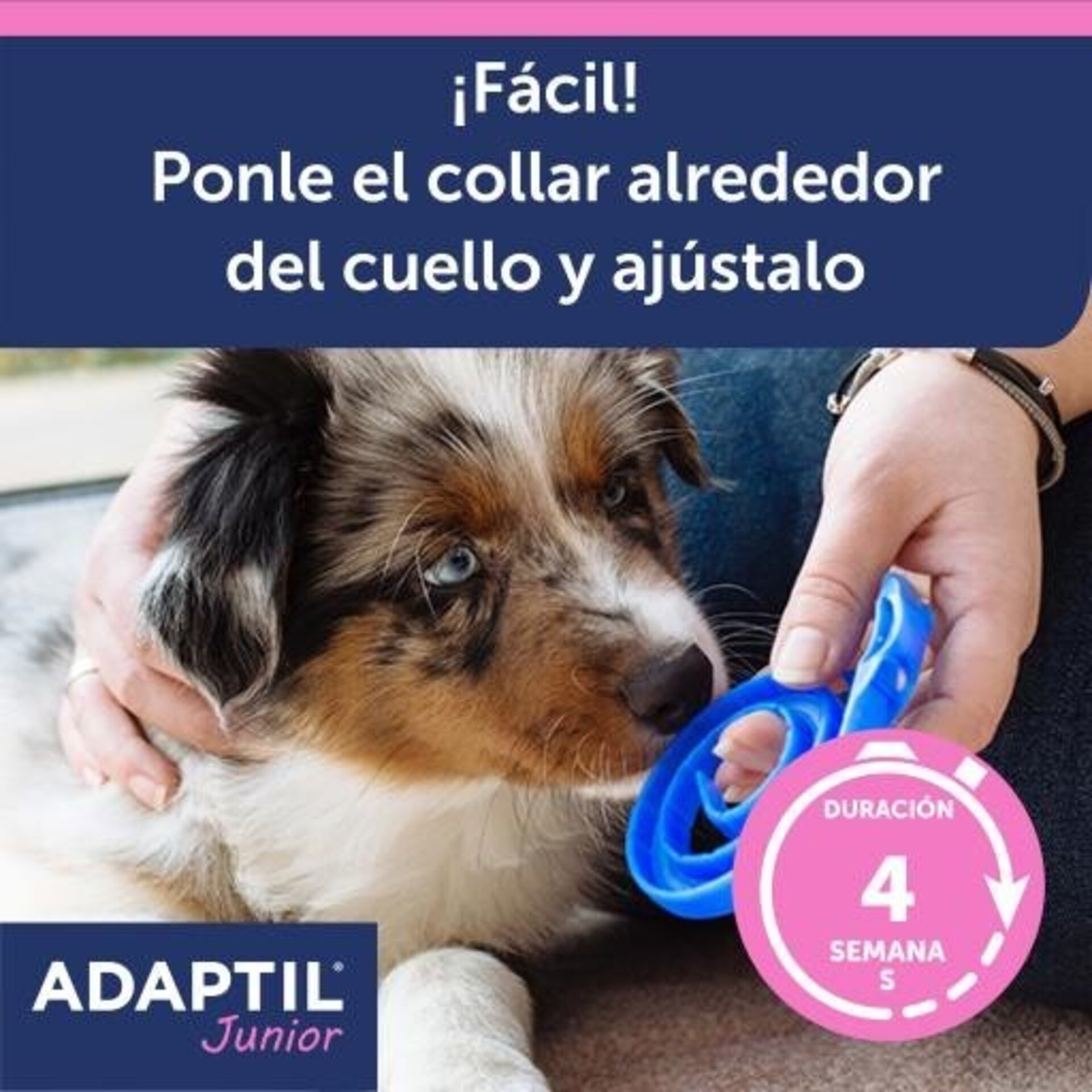 Adaptil Collar Junior Antiestrés - 3