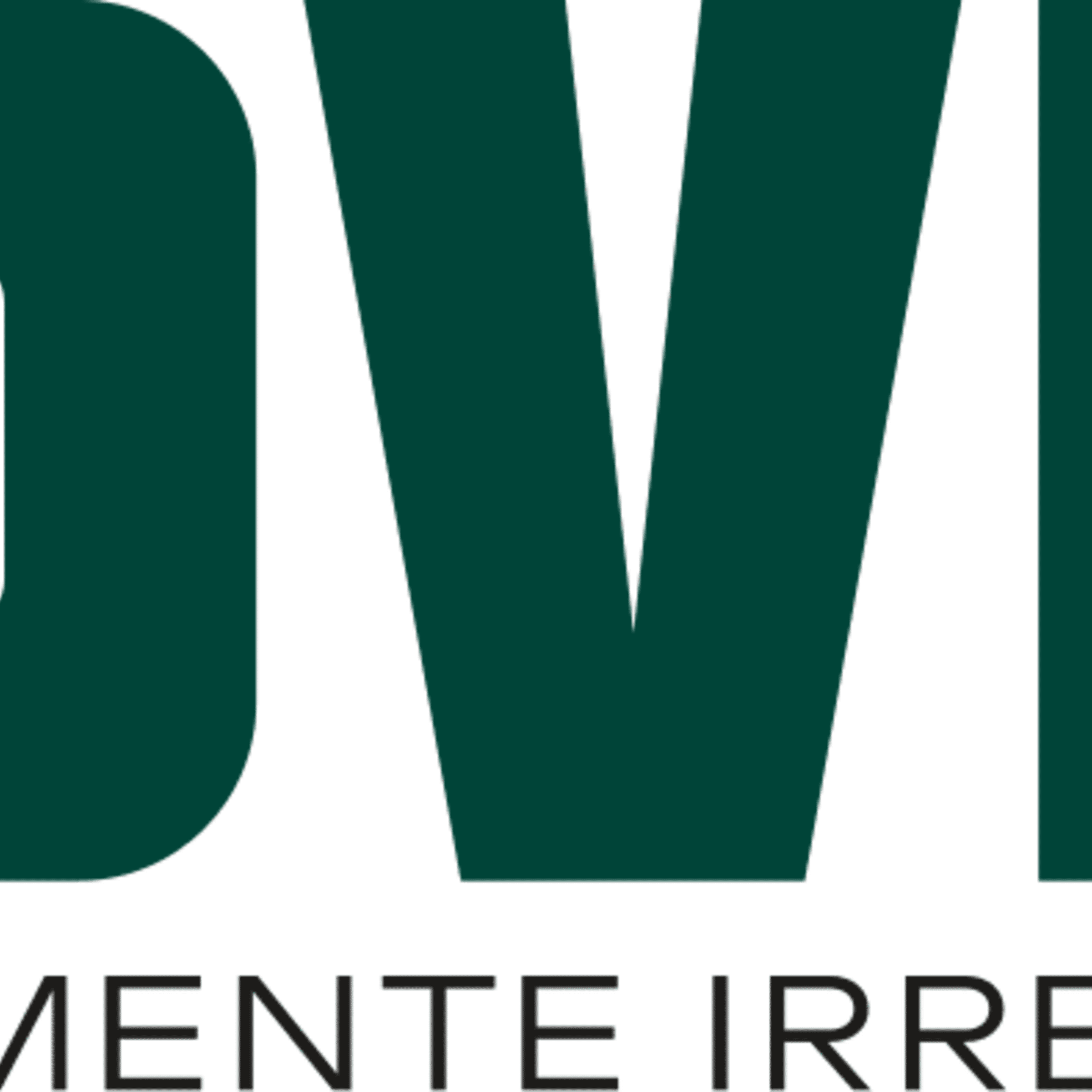 DIETA BARF/ MENUS COCINADOS