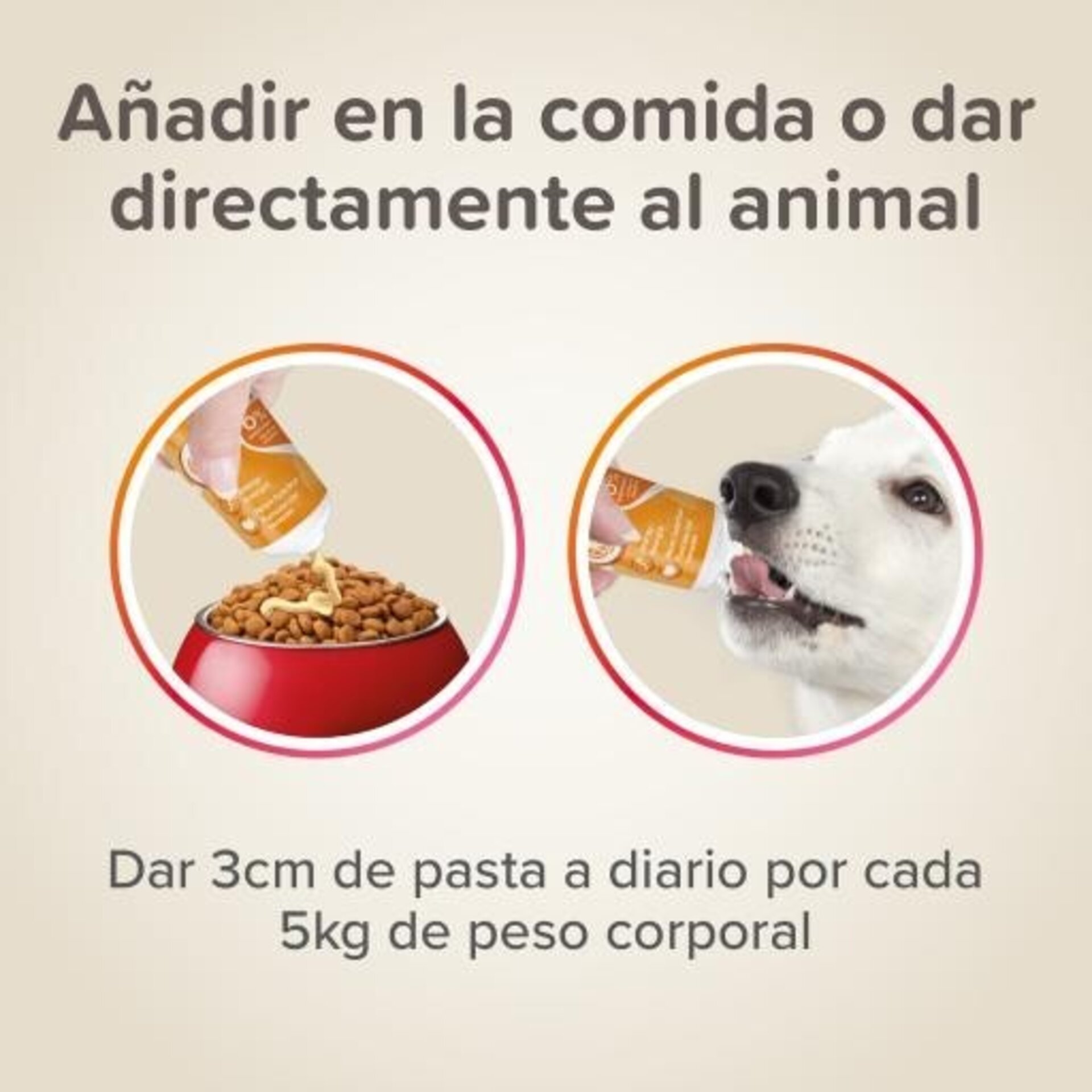 Beaphar Pasta Multi-Vitaminas Perro 100gr - 4