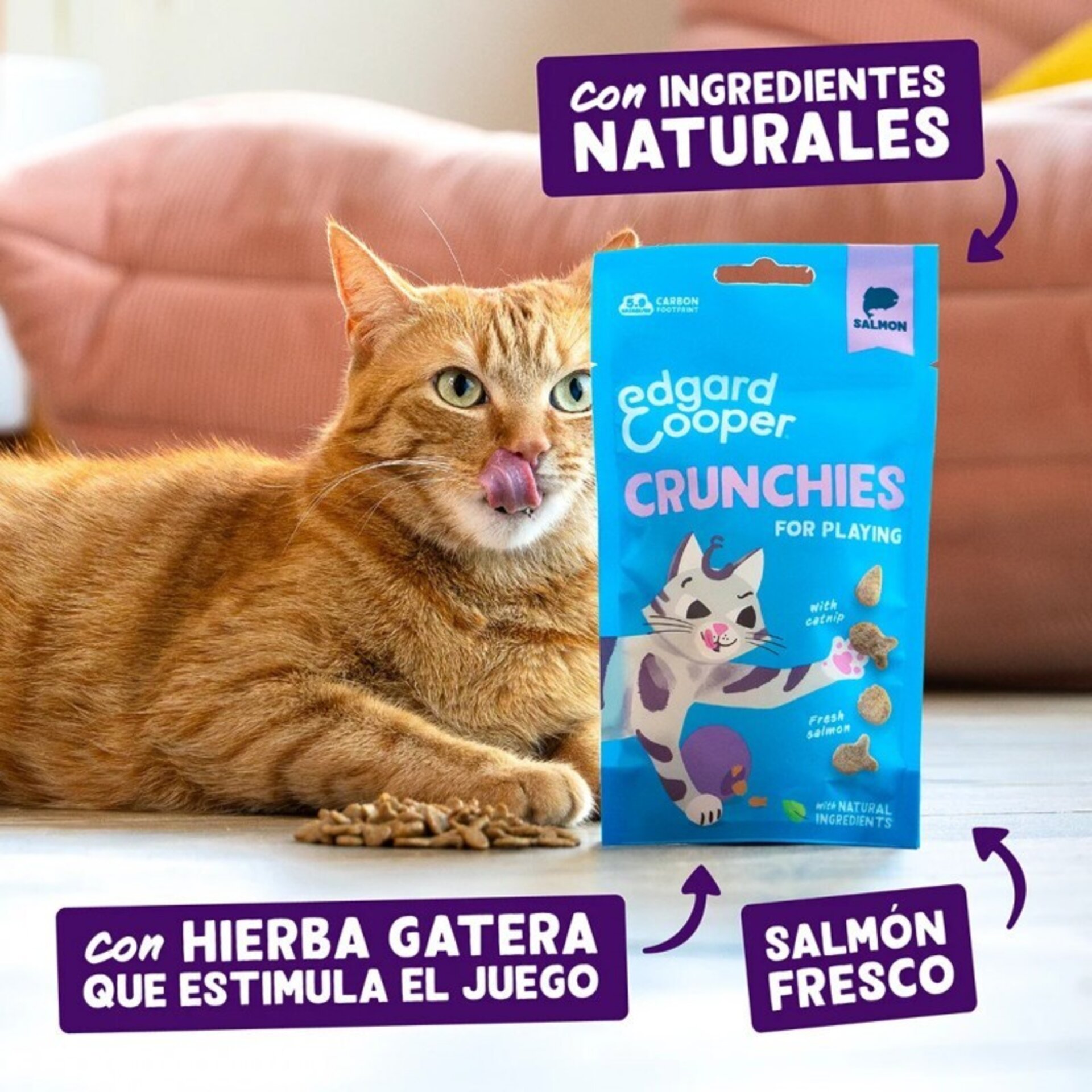 Galletitas Salmón 50gr - 4