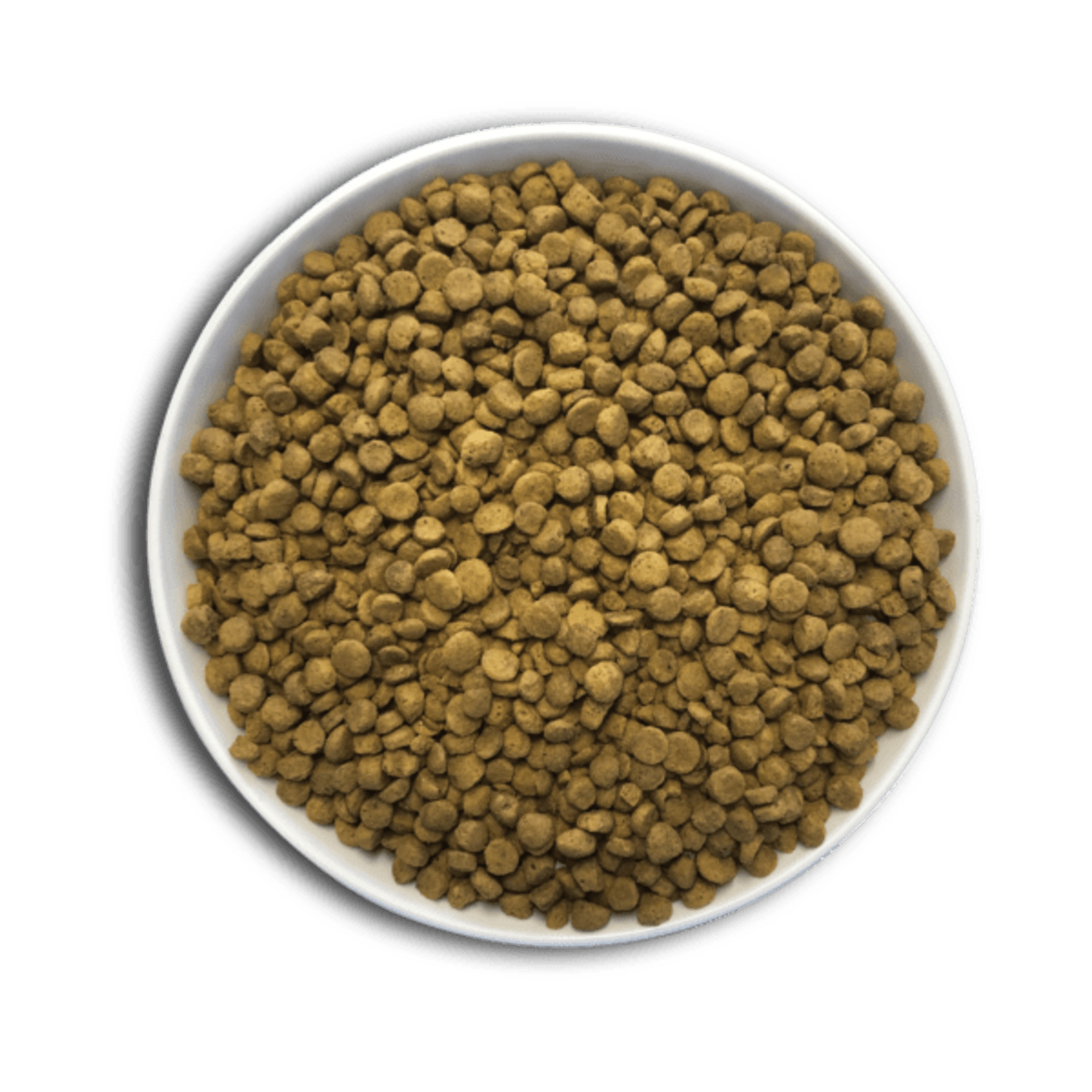Alpha Pro Loro natural - 3
