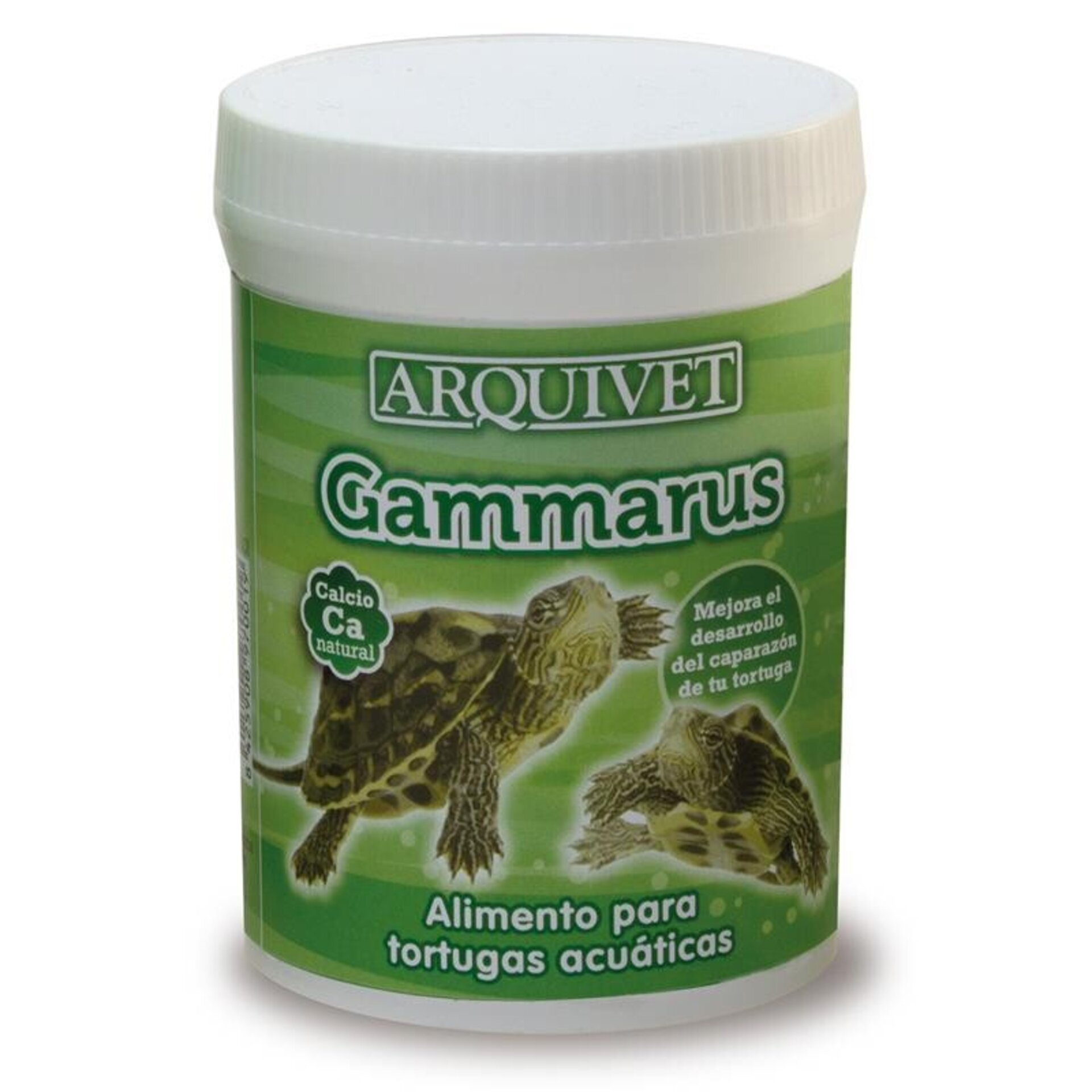 Gammarus - Arquivet - 2