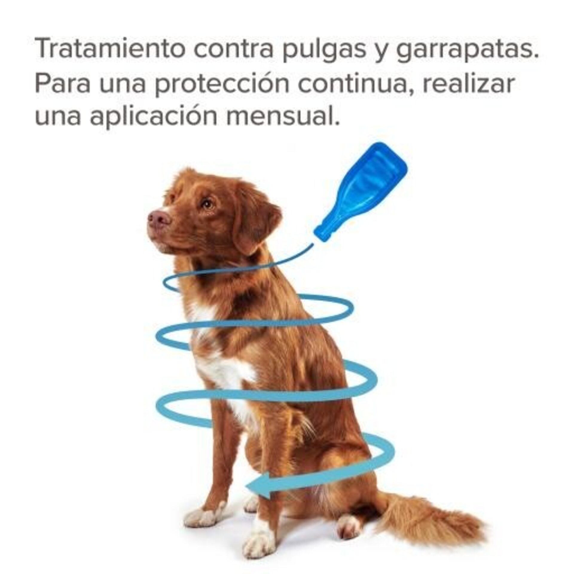Beaphar Fiprotec Pipetas Spot-On para Perros de 2-10 Kg (67mg) - 4