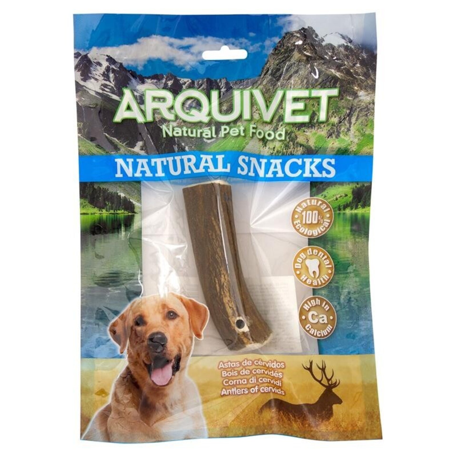 Arquivet Asta de ciervo - 2
