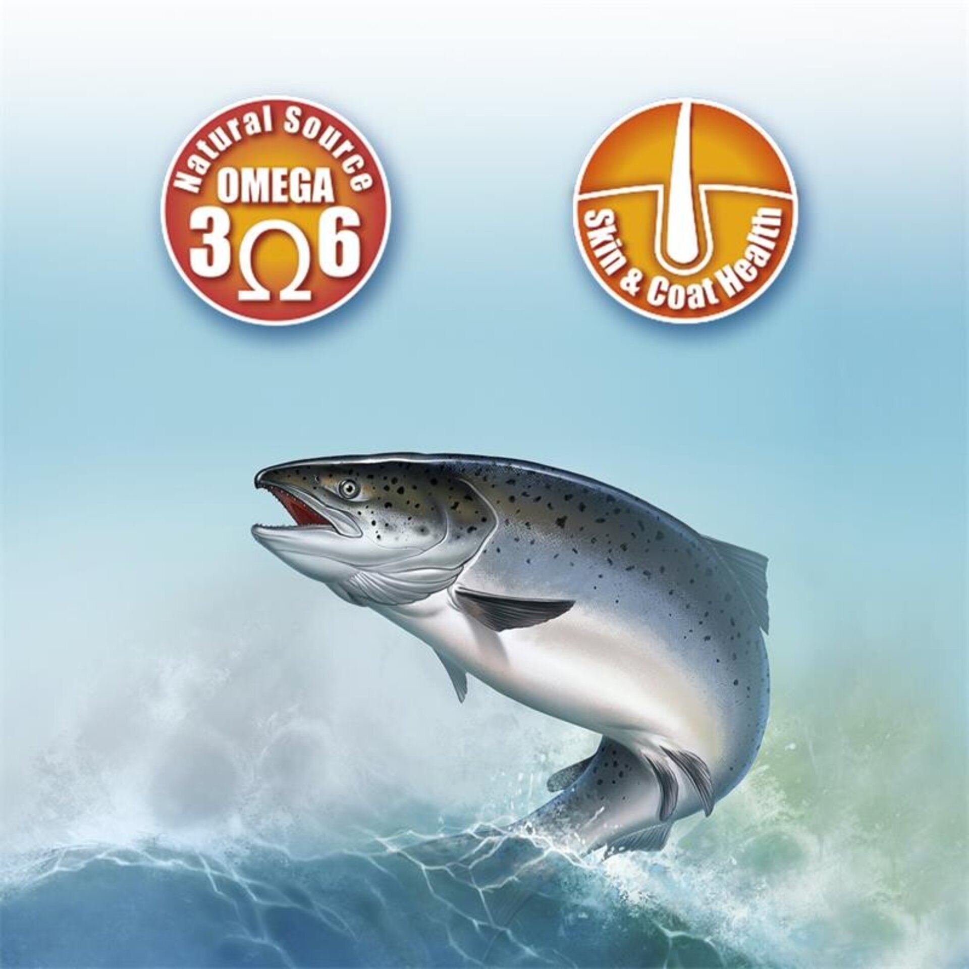 Aceite de salmón escocés (250ml) - 5