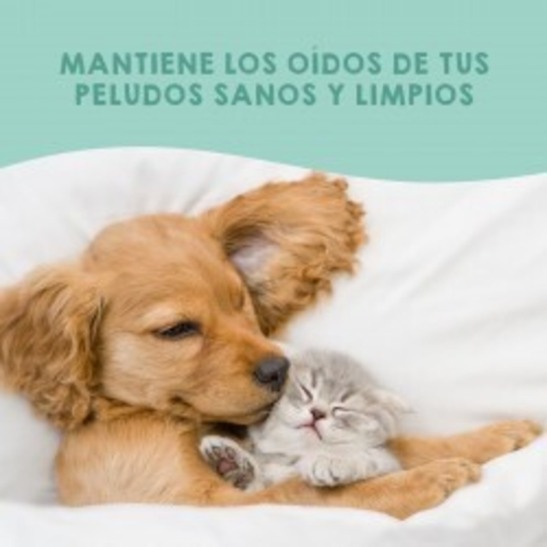 Limpiador oídos para perros y gatos (125ml) - 5