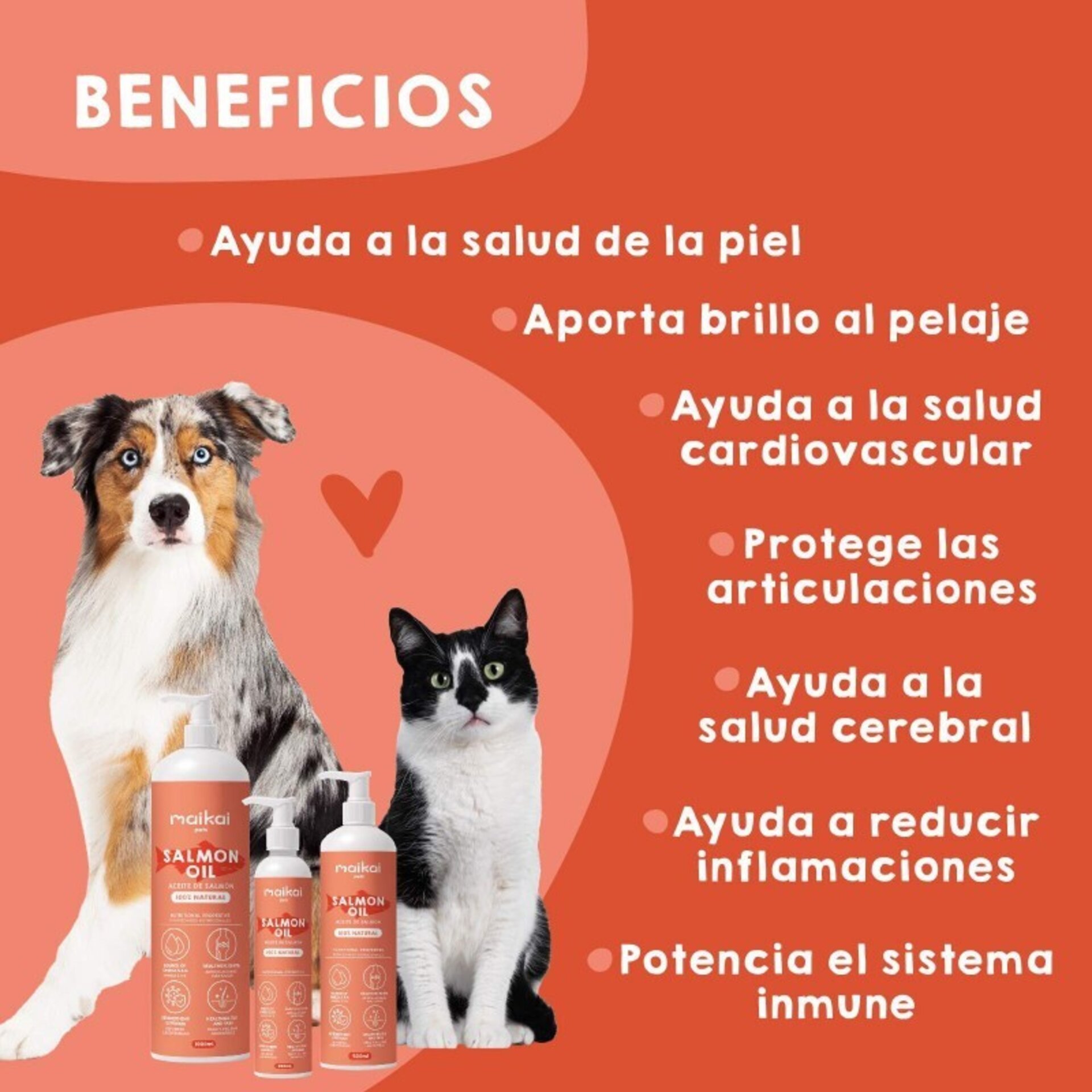 Aceite de Salmón – Perros y gato - 3
