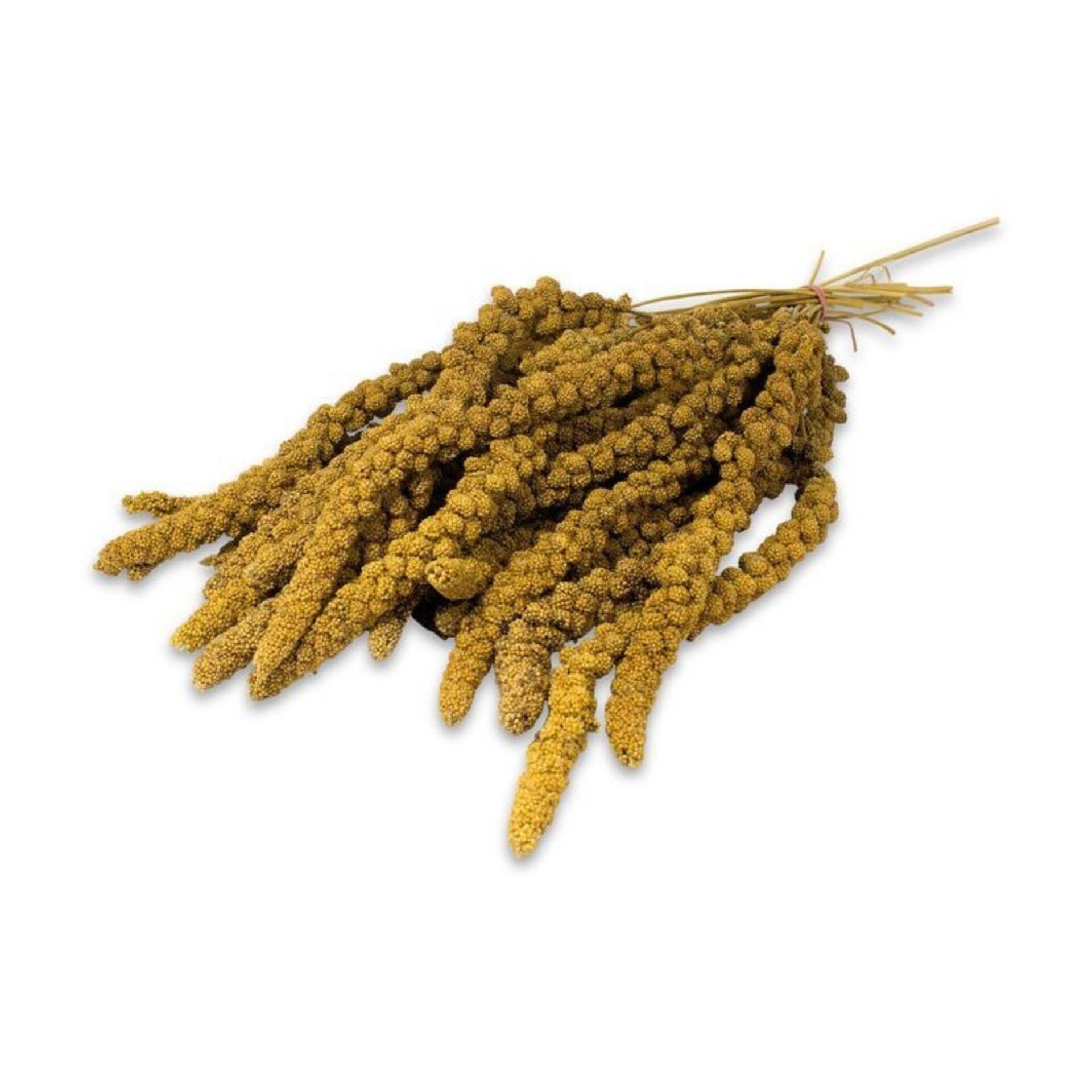 JR Birds Mijo Amarillo 250 gr - 2