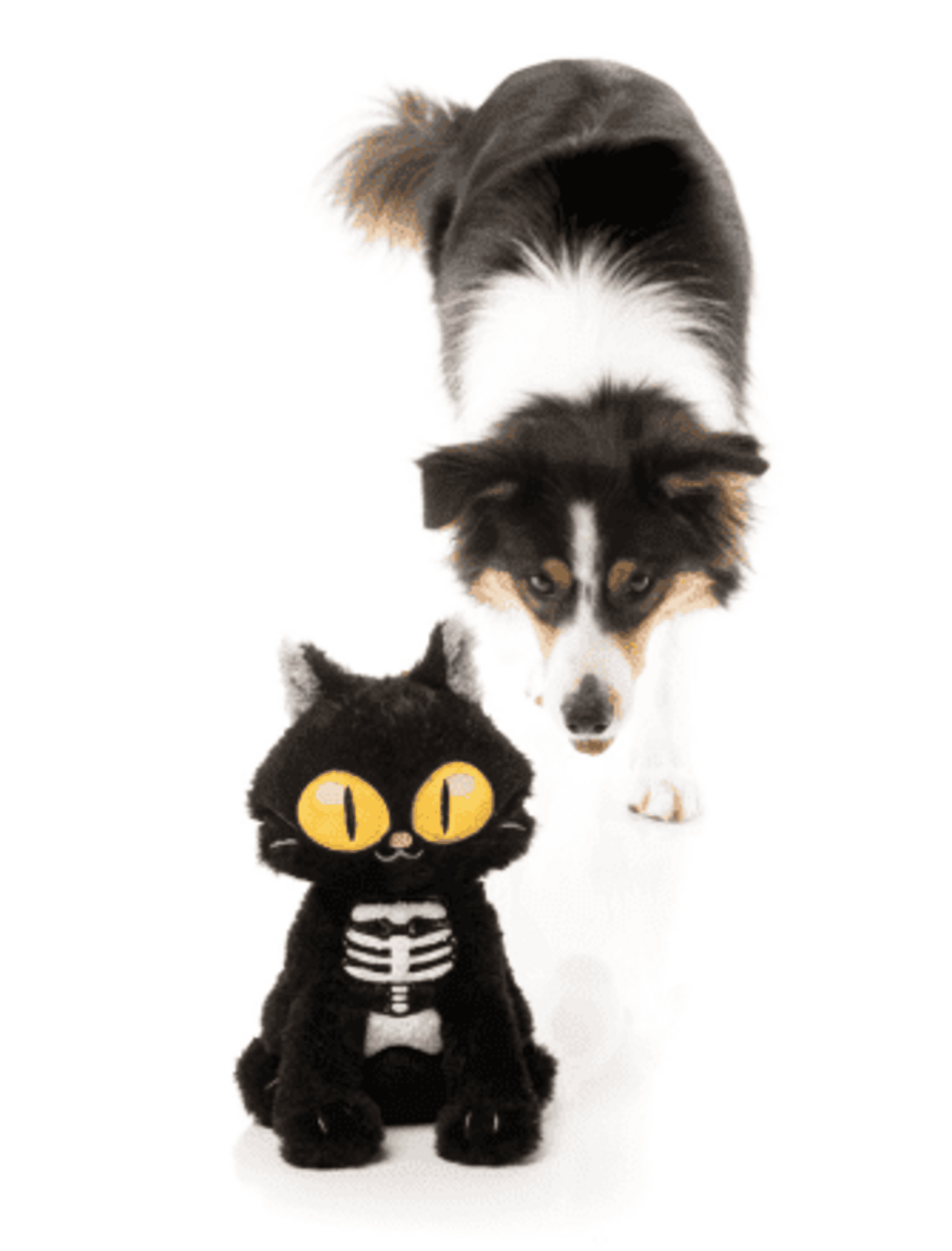 FuzzYard Halloween Skelekitty - 4