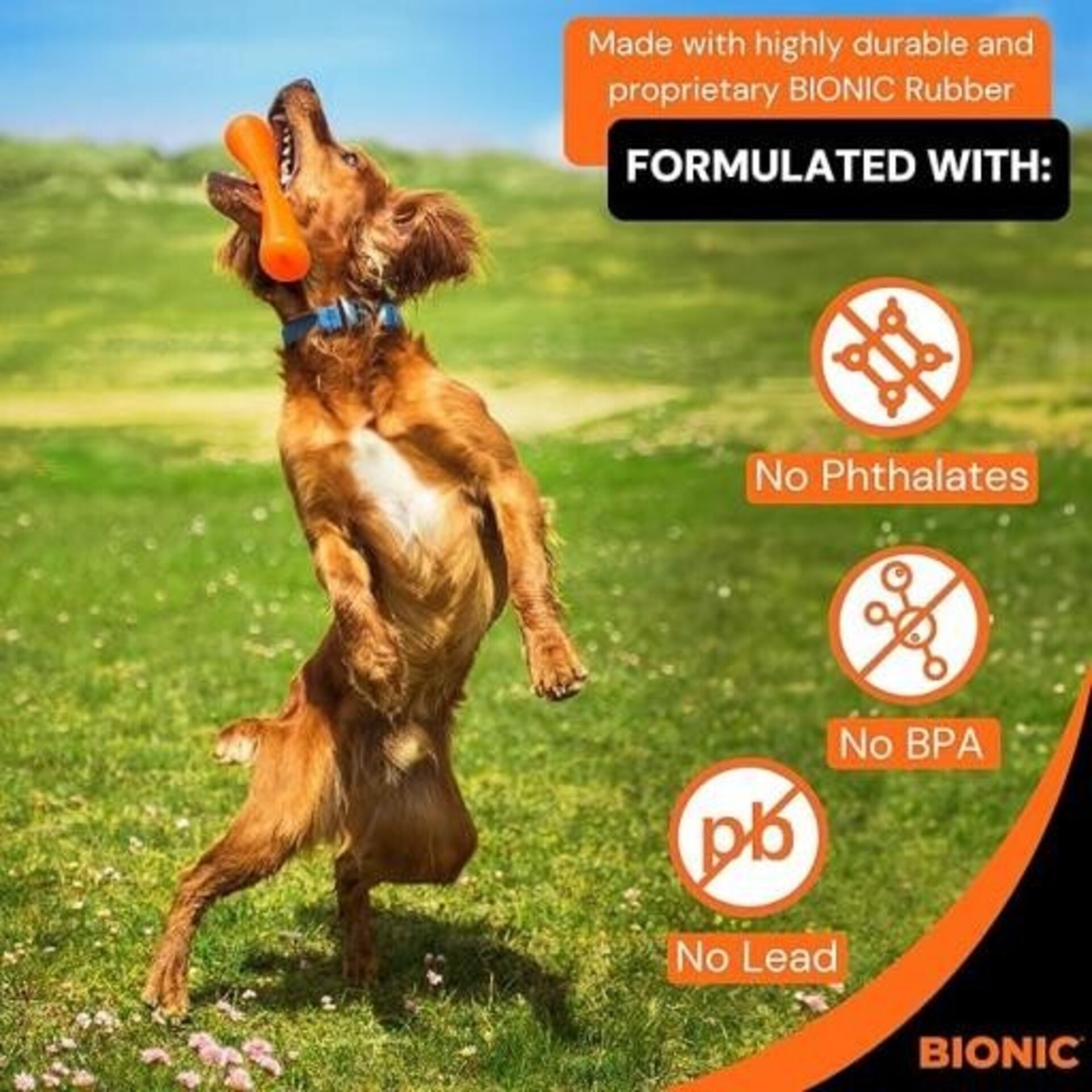 Bionic Mordedor Urban Stick Rellenable para Perros - 5