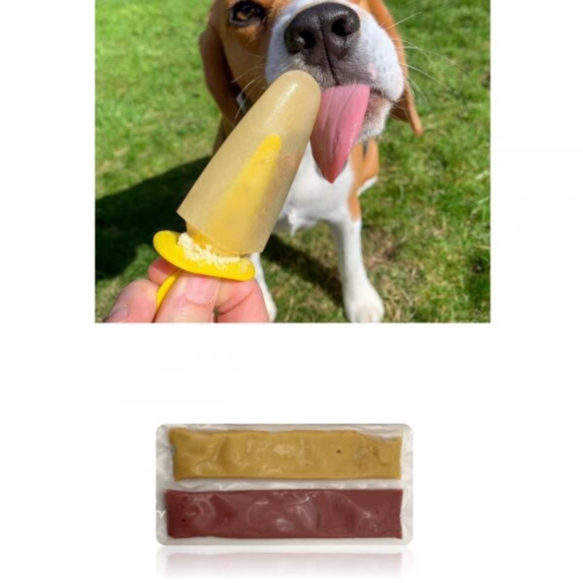 HELADO PARA PERRO FRUTAS ROSEWOOD PACK DE 4 UDS - 2
