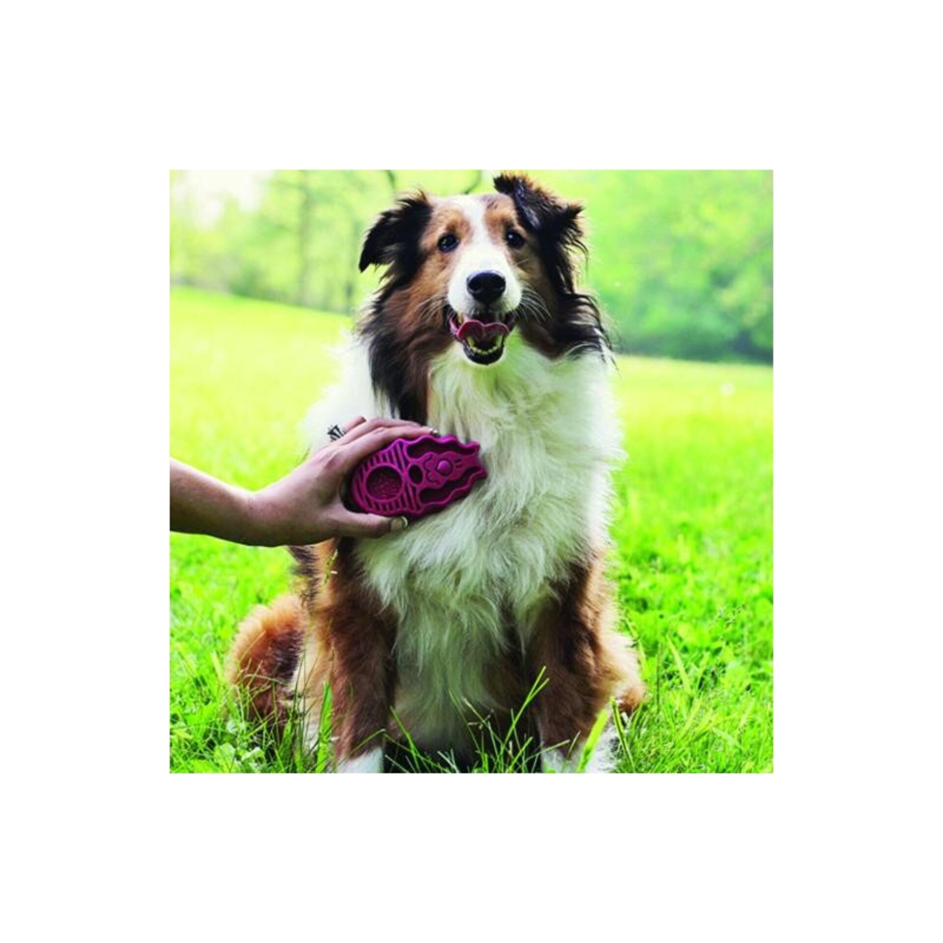 KONG Zoom Groom Cepillo para Pelo Corto Rosa - 2