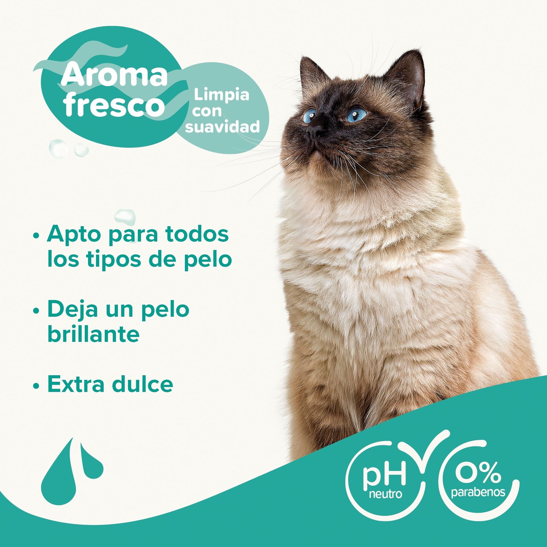 Beaphar Champú para Gatos - 3