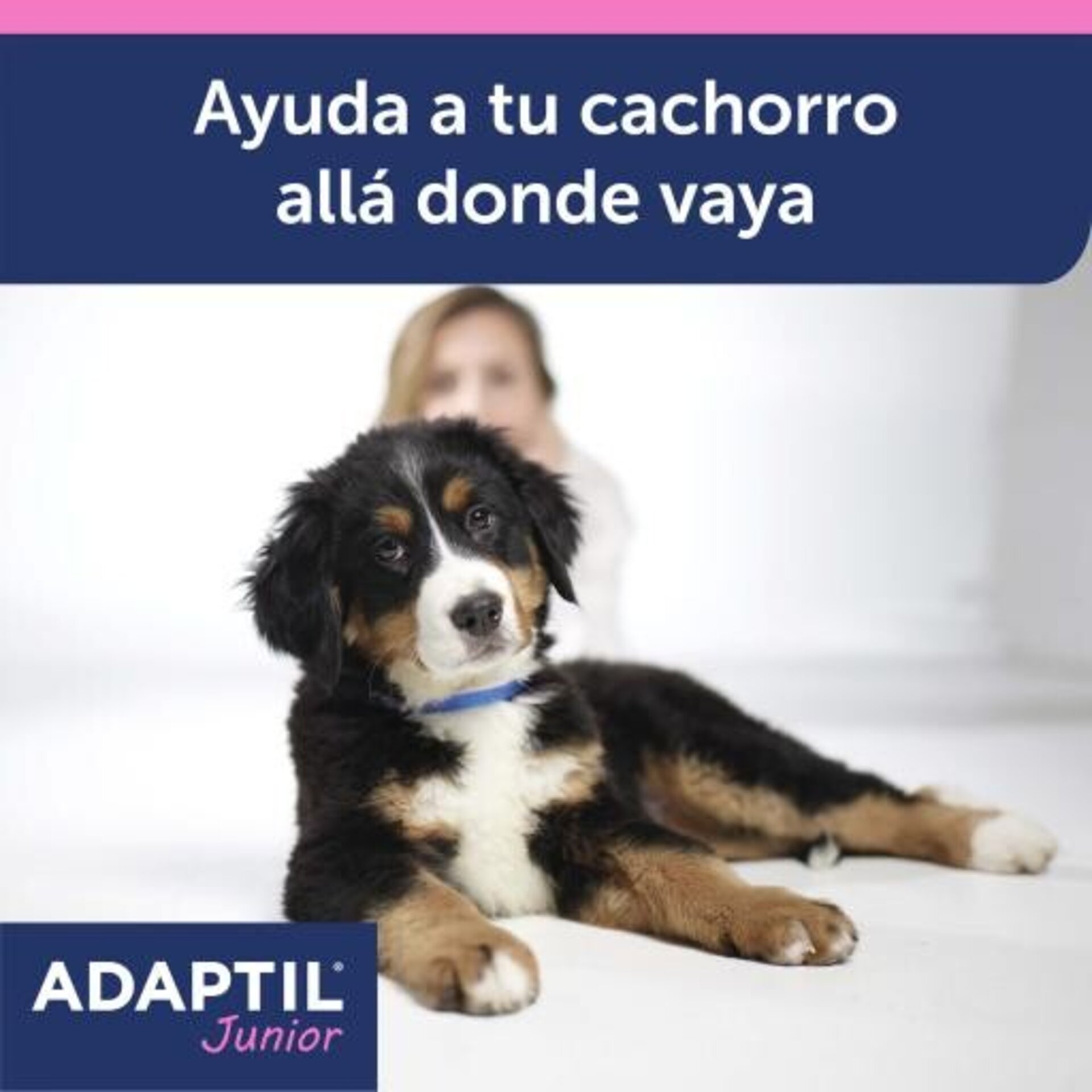 Adaptil Collar Junior Antiestrés - 2
