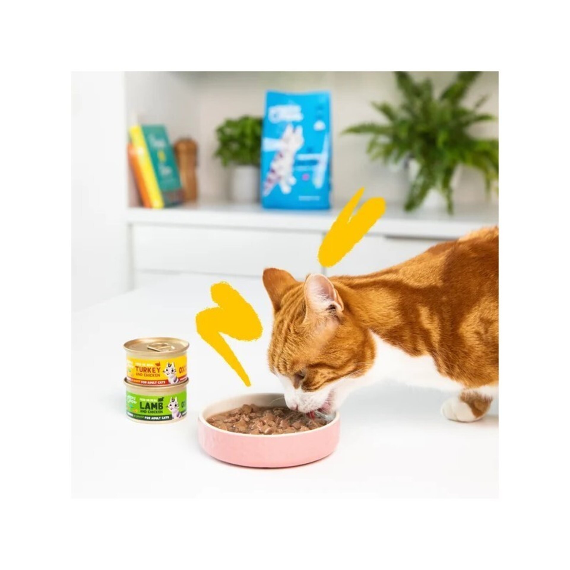 Edgar & Cooper Cordero y Pollo Trocitos en Salsa 85 Gr para Gatos - 2