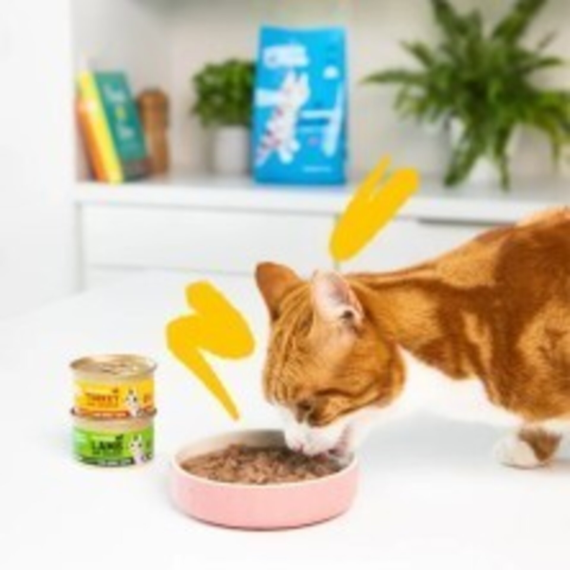 Edgar & Cooper Pavo y Pollo Trocitos en Salsa 85 Gr para Gatos - 3