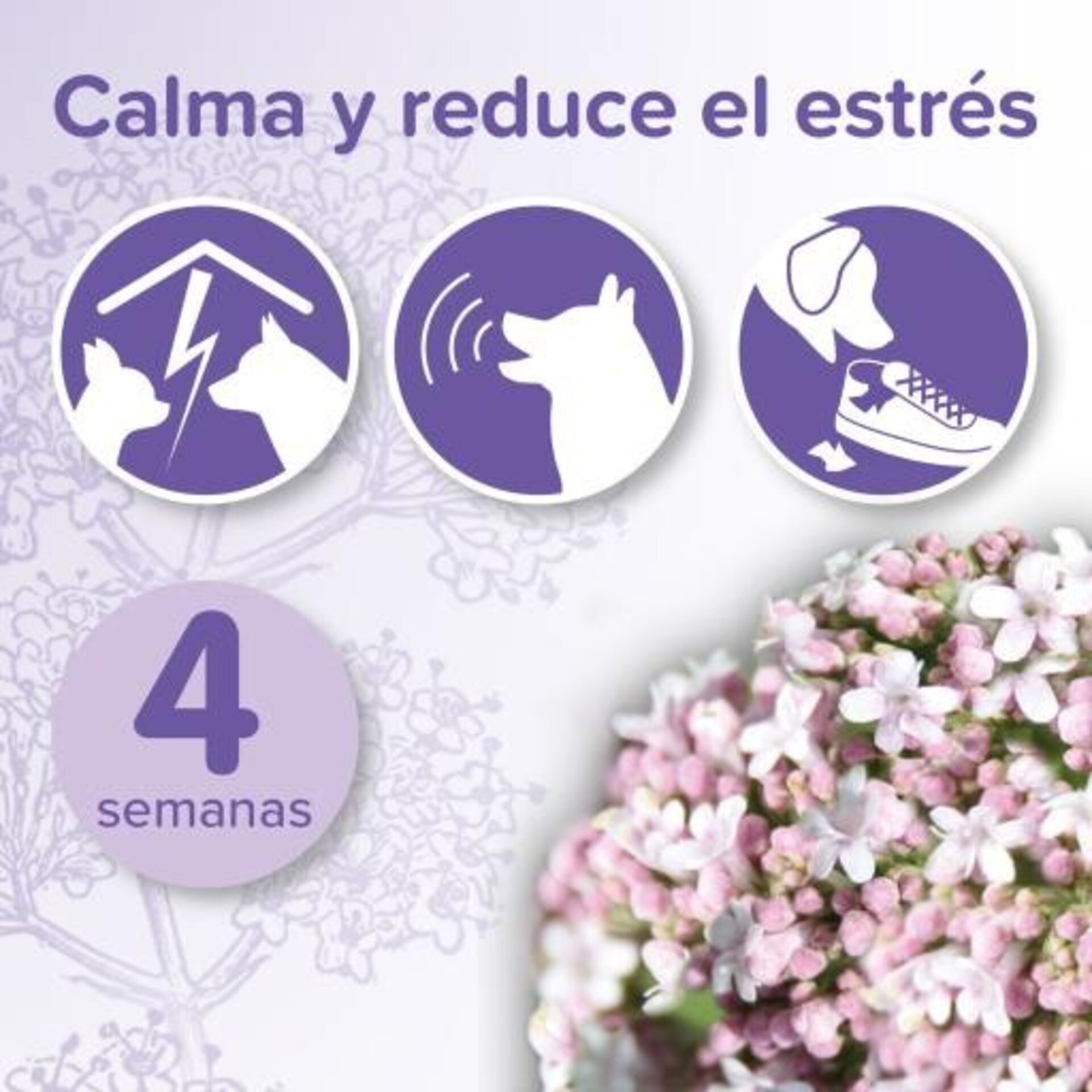 Beaphar No Stress Pack Difusor y Recarga para Perros - 3