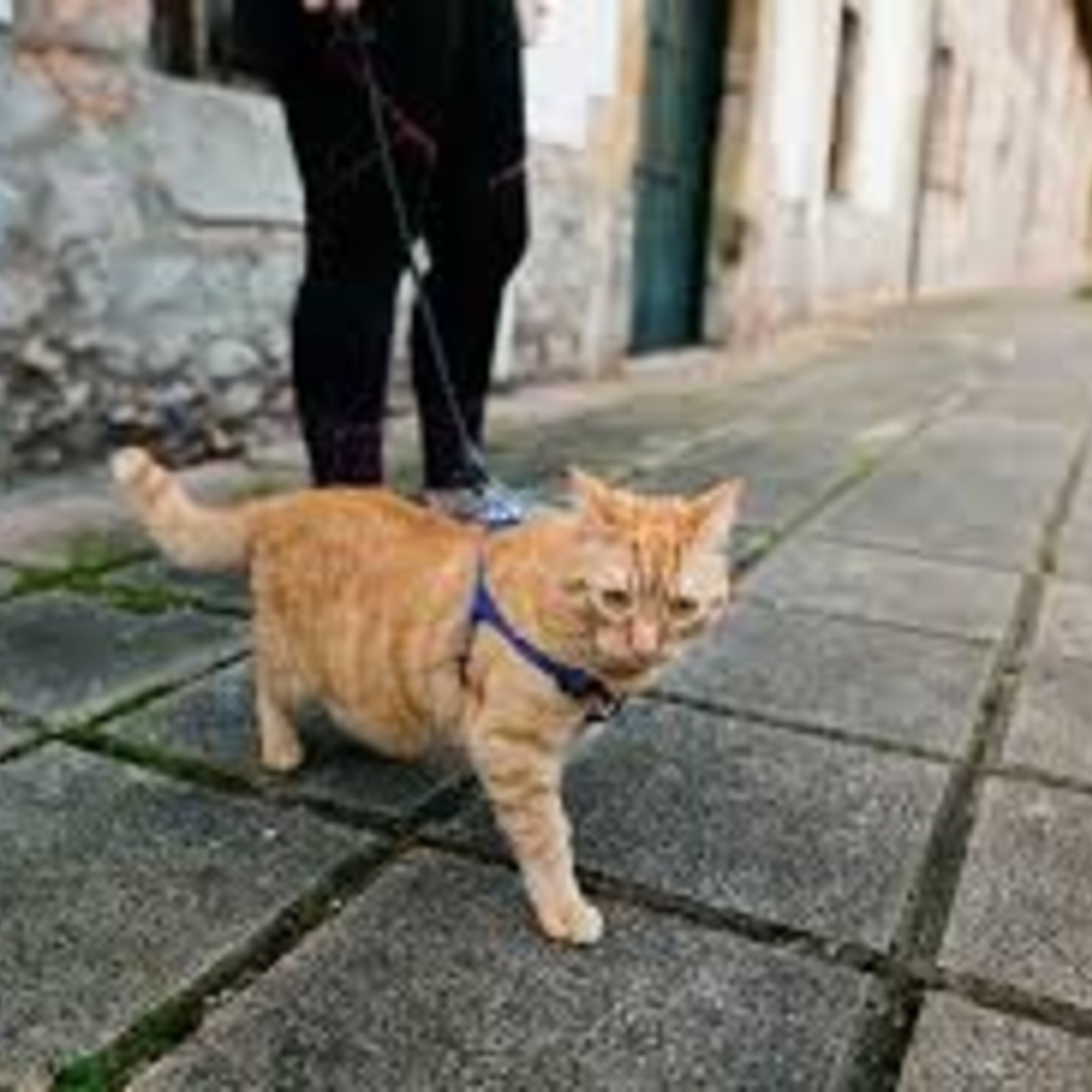 PASEO