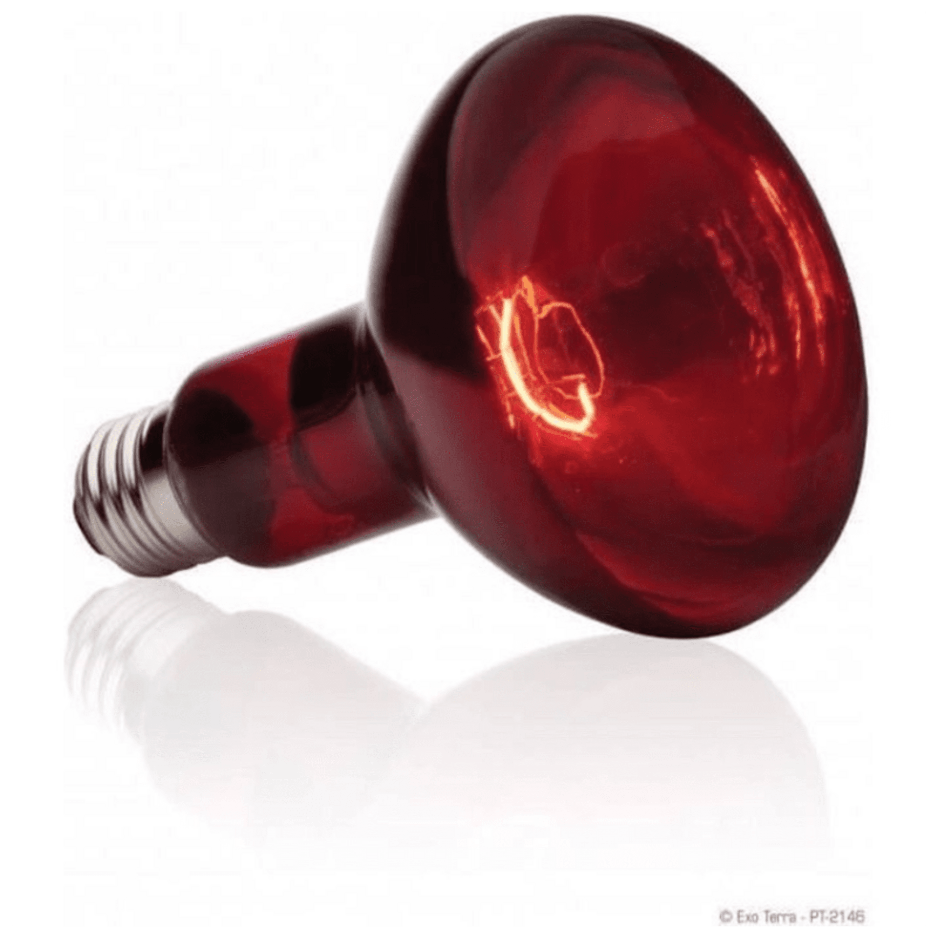 Exoterra Bombilla para reptiles Infrared Basking Spot - 2