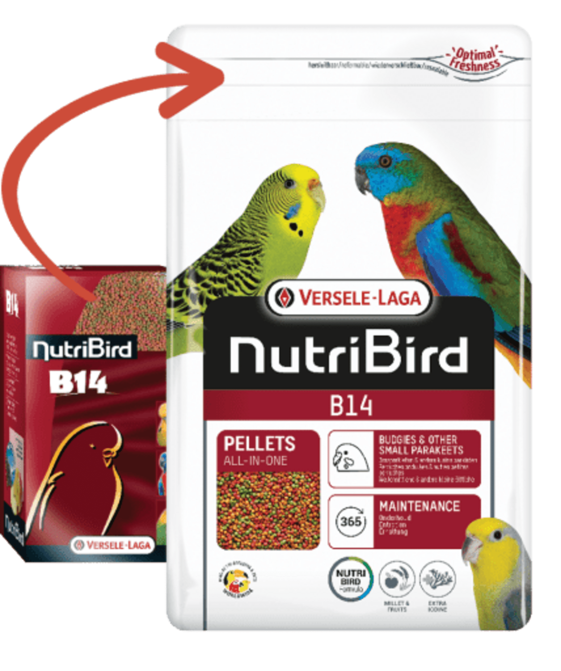 Versele Laga Nutribird B14 Periquito - 2