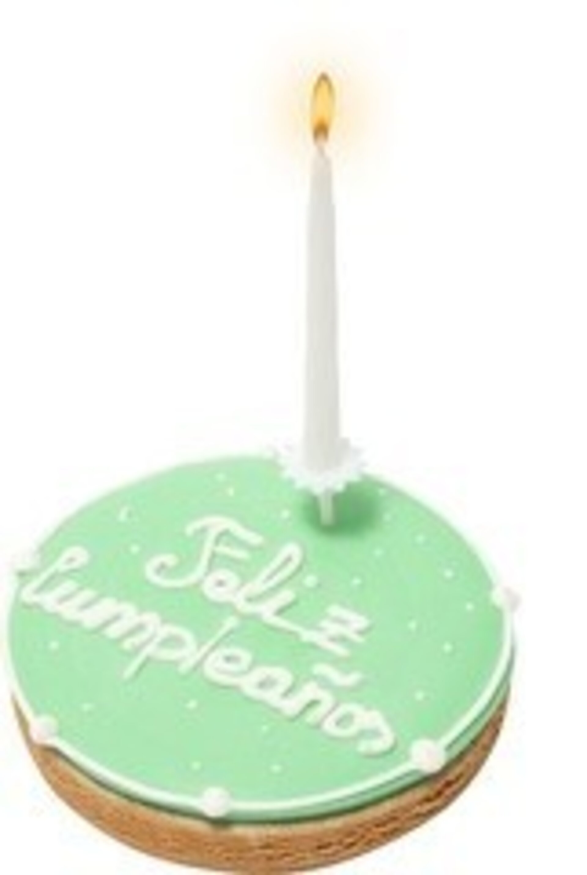 Doggyebag tarta de cumpleaños para perro verde 120g - 2