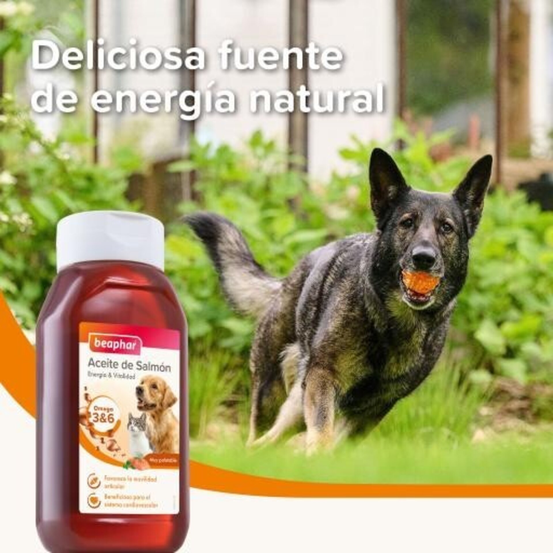 Beaphar Aceite De Salmón - 5