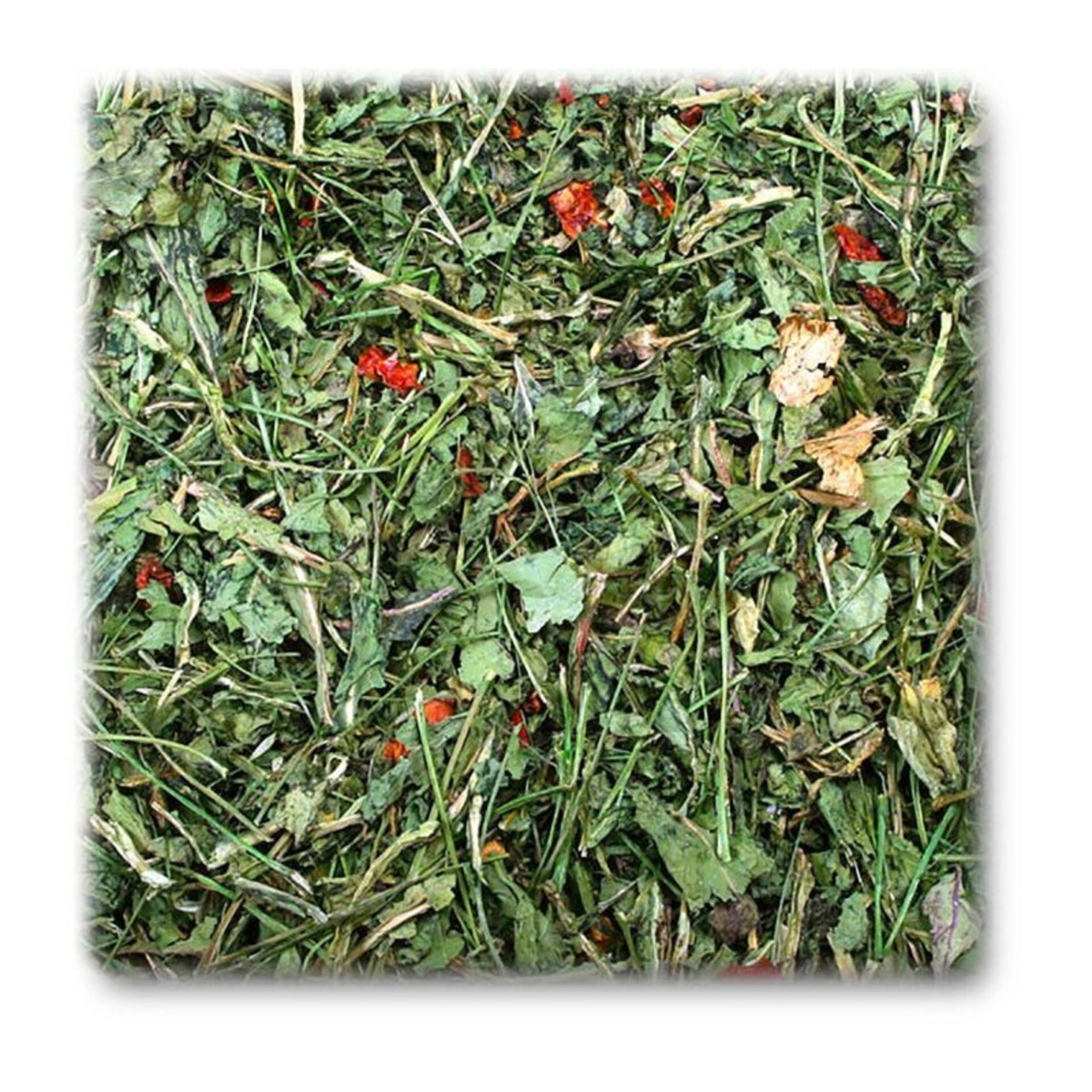JR Farms Gerbs Rúcula y Tomate 100 gr - 2