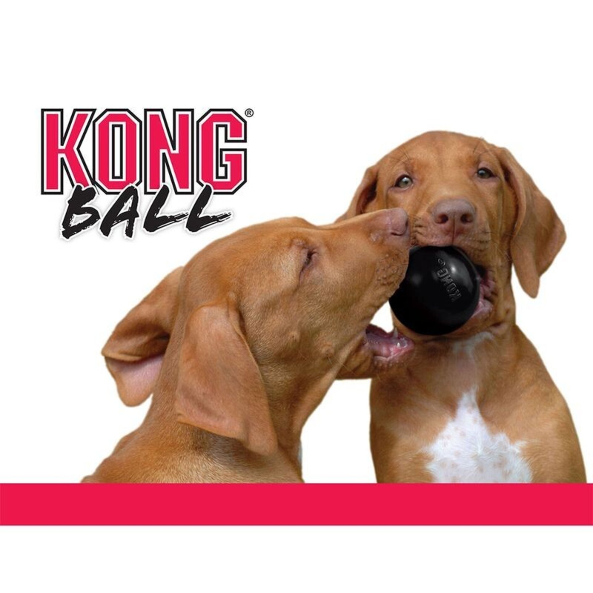 KONG Extreme pelota para perros - 6
