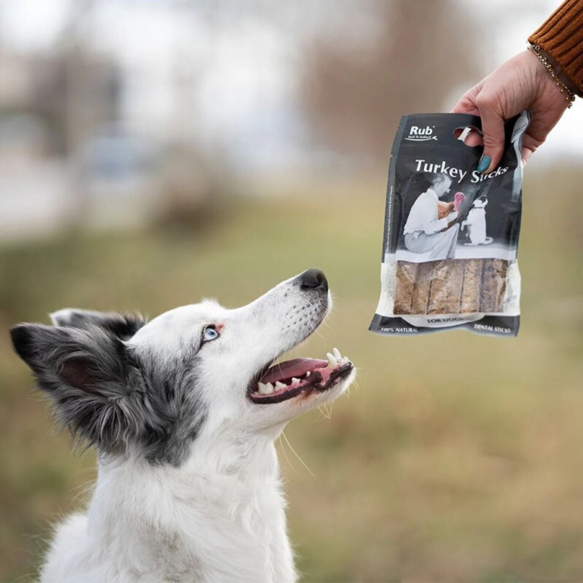 Premio Rub Stick Dental de Pavo para Perros 100g - Regular Size 2x2 - 3