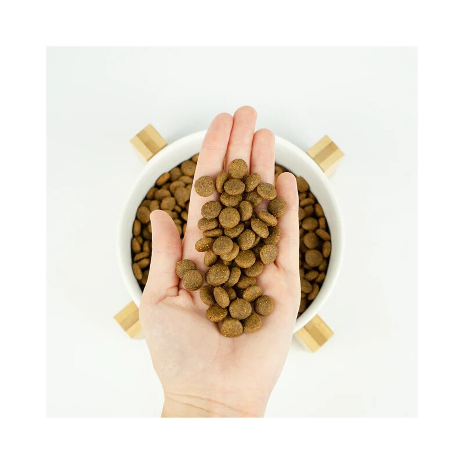 Lenda Light - 2