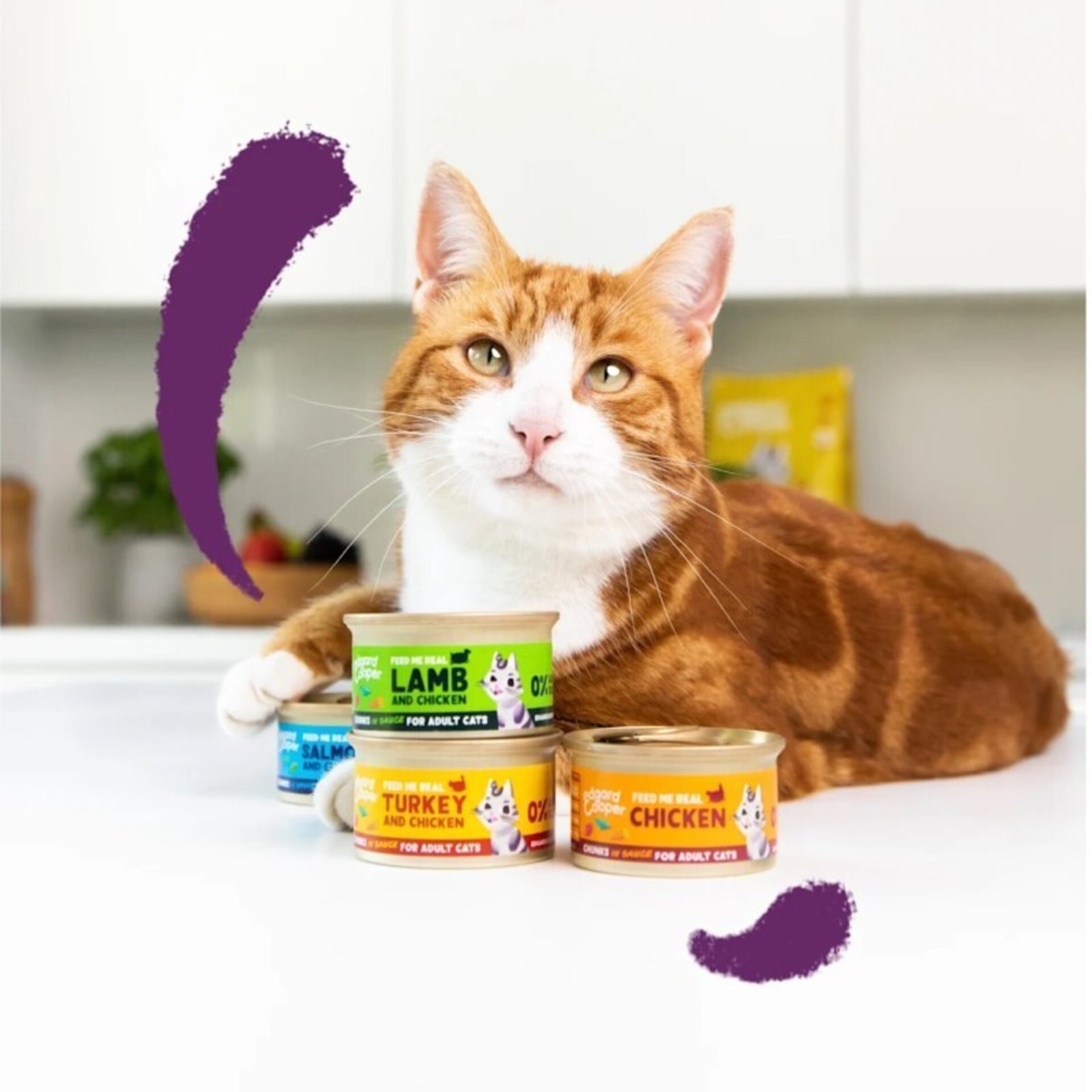 Edgar & Cooper Salmón y Pollo Trocitos en Salsa 85 Gr para Gatos - 3