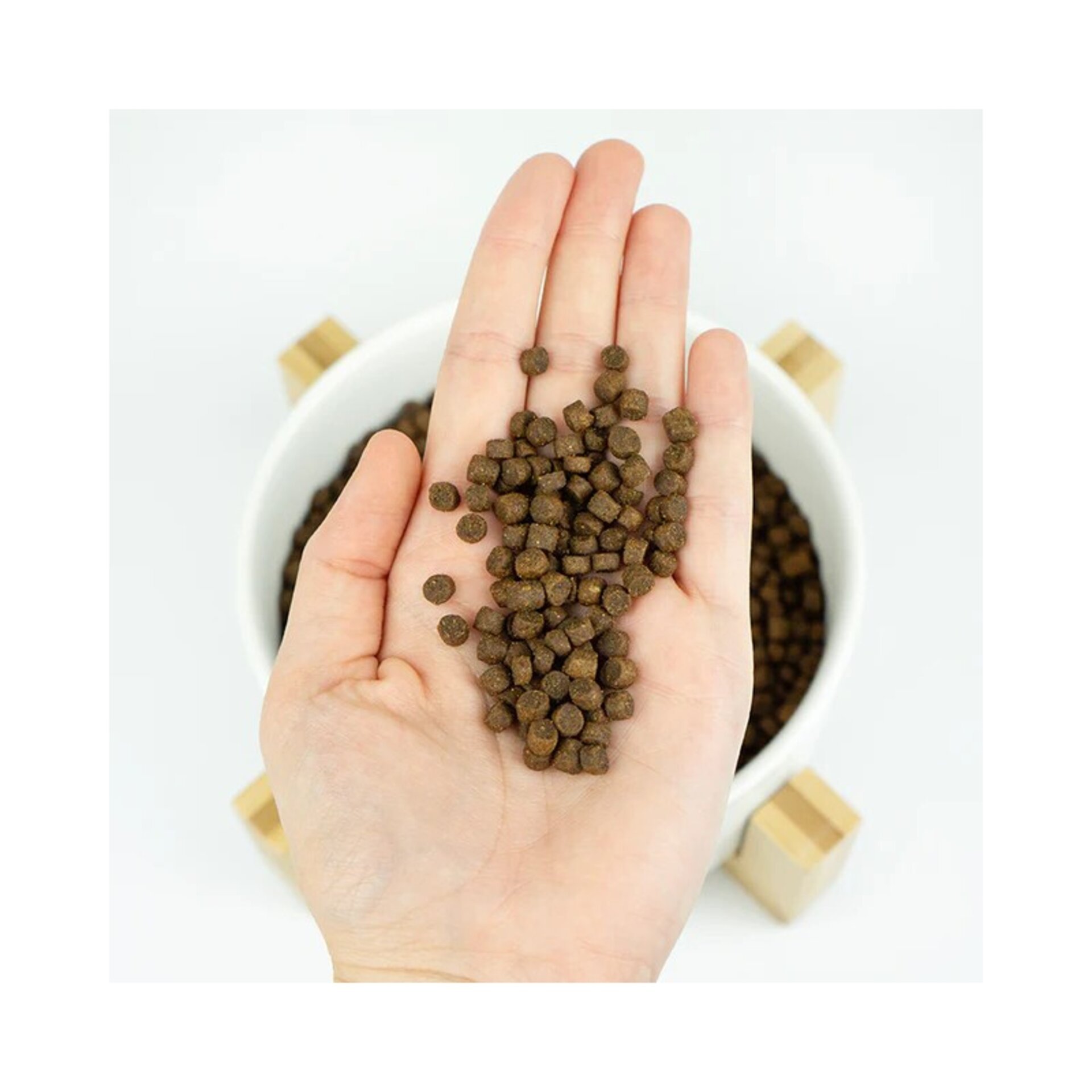 Lenda Kitten Poultry & Fish 2kg - 4