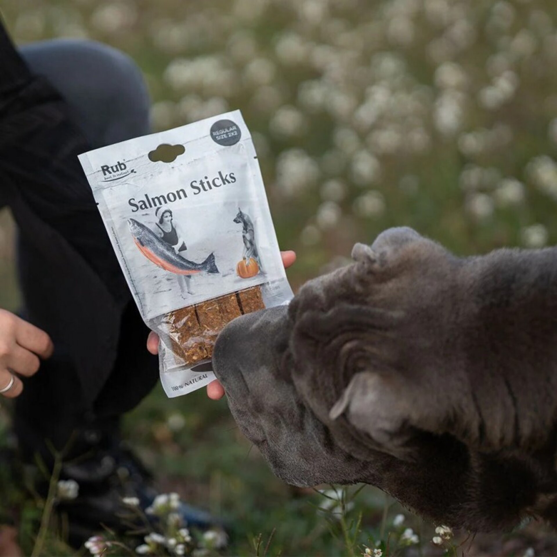 Premio Rub Stick Dental de Salmón para Perros 100g - Regular Size 2x2 - 3