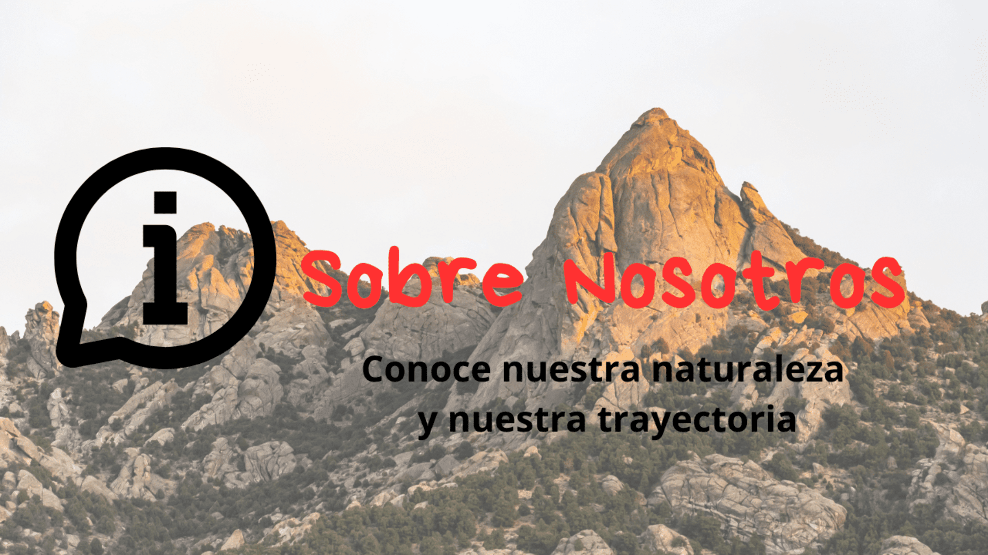 Sobre nosotros