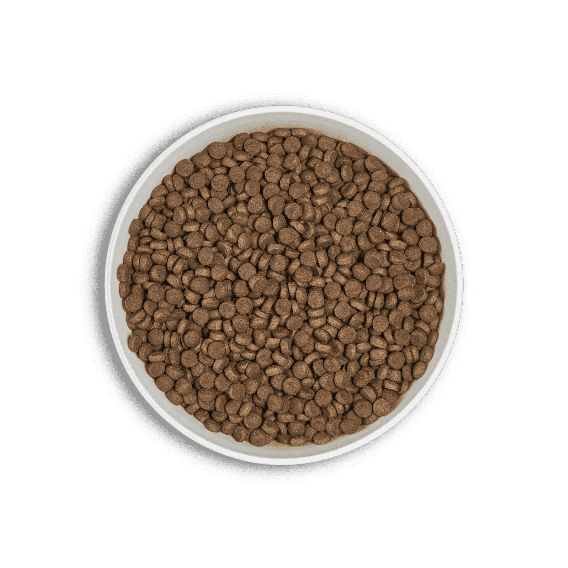 ERA Grain-Free Pollo y Pavo para Razas Medianas y Grandes - 3