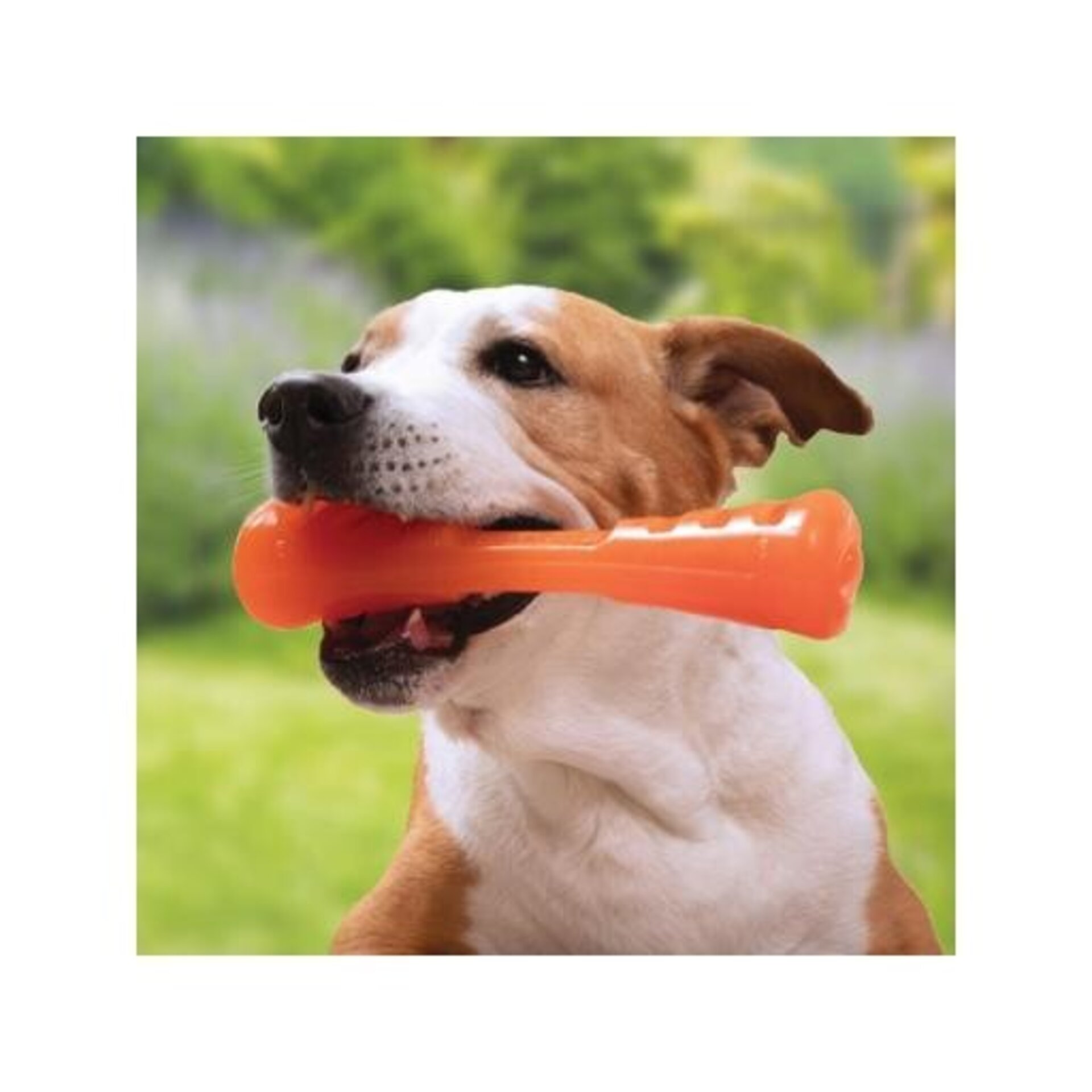 Bionic Mordedor Urban Stick Rellenable para Perros - 8