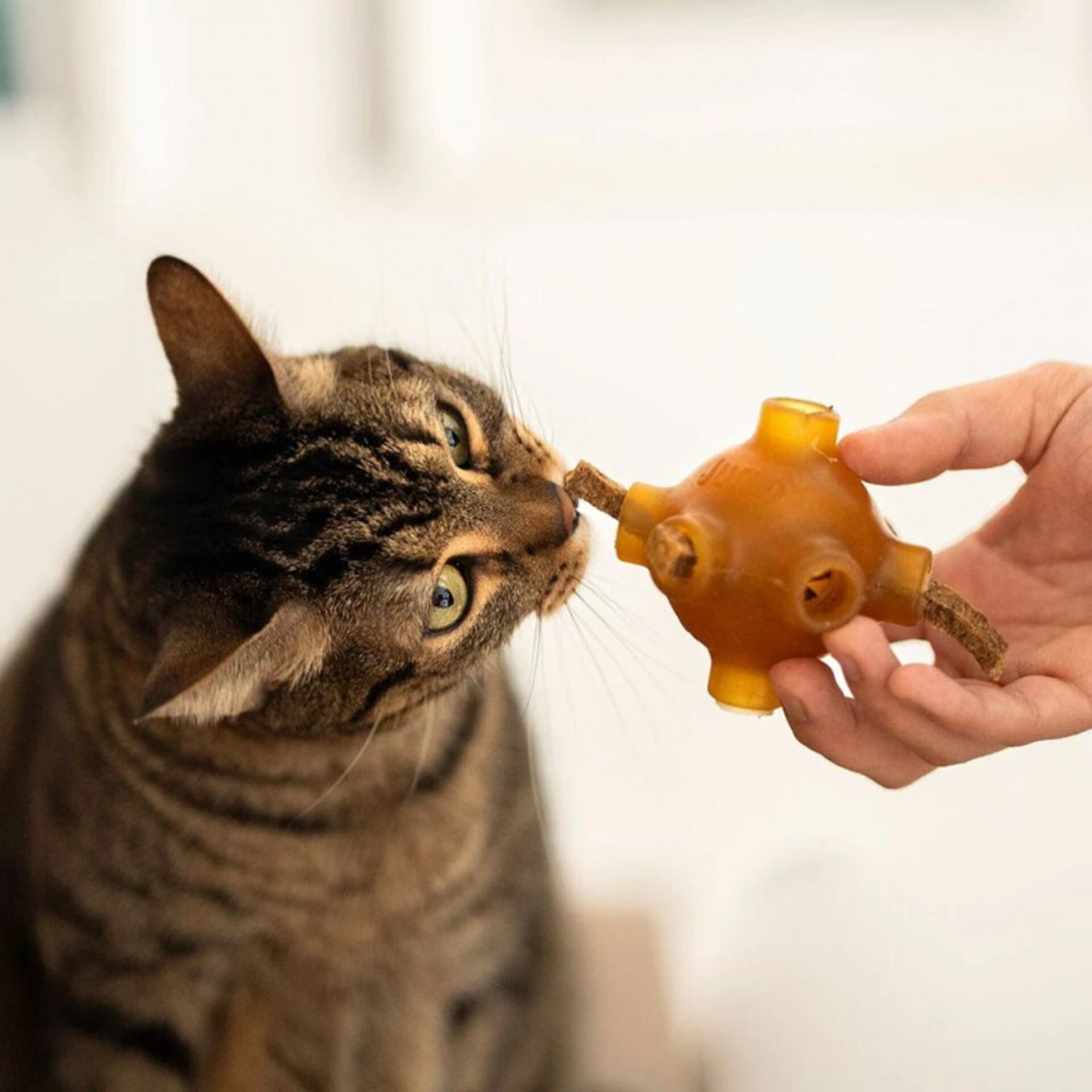Premio Rub Stick Dental de Pollo para Gatos 100g - Small Size 1x1 - 5