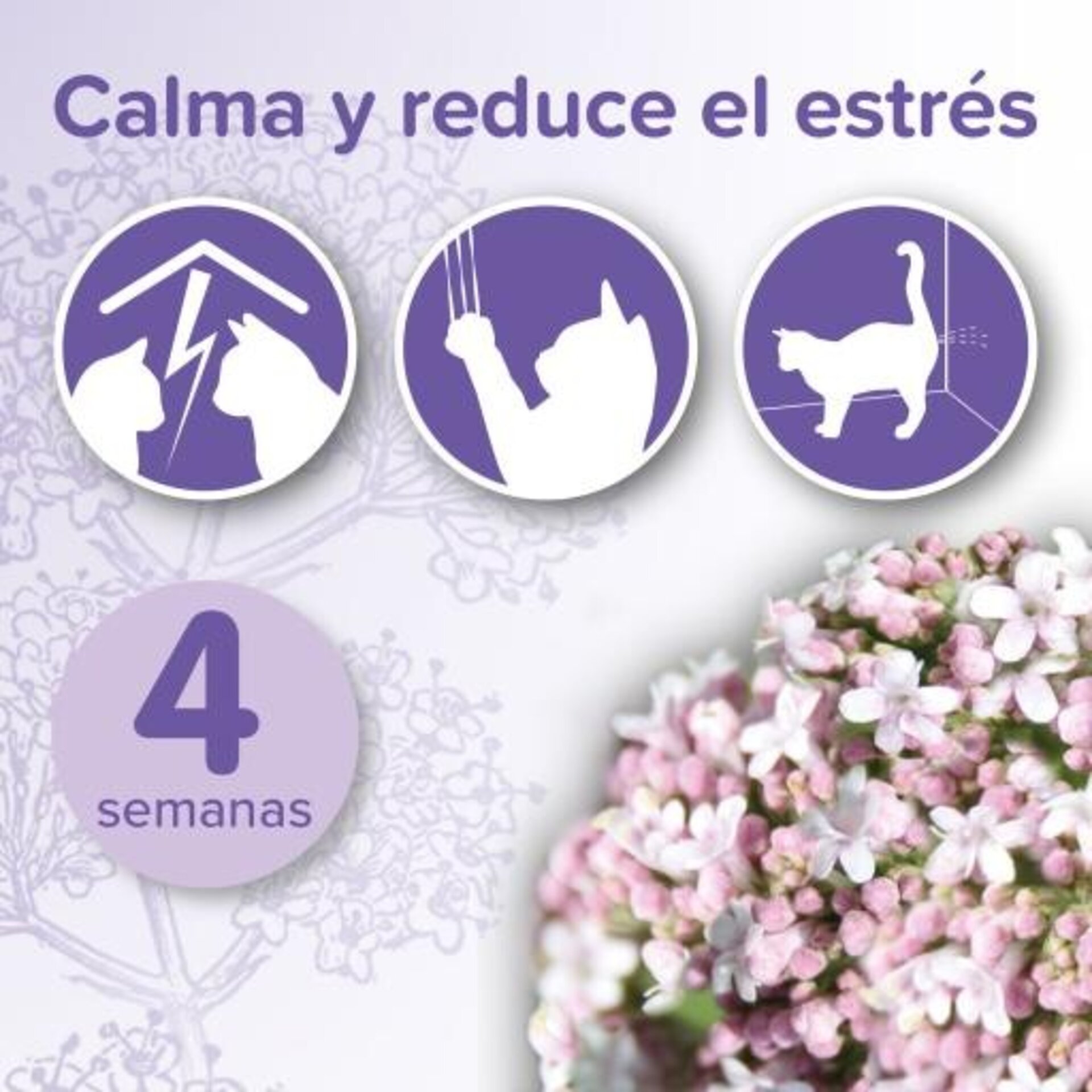 Beaphar No Stress Pack Difusor y Recarga para Gatos 30ml - 3