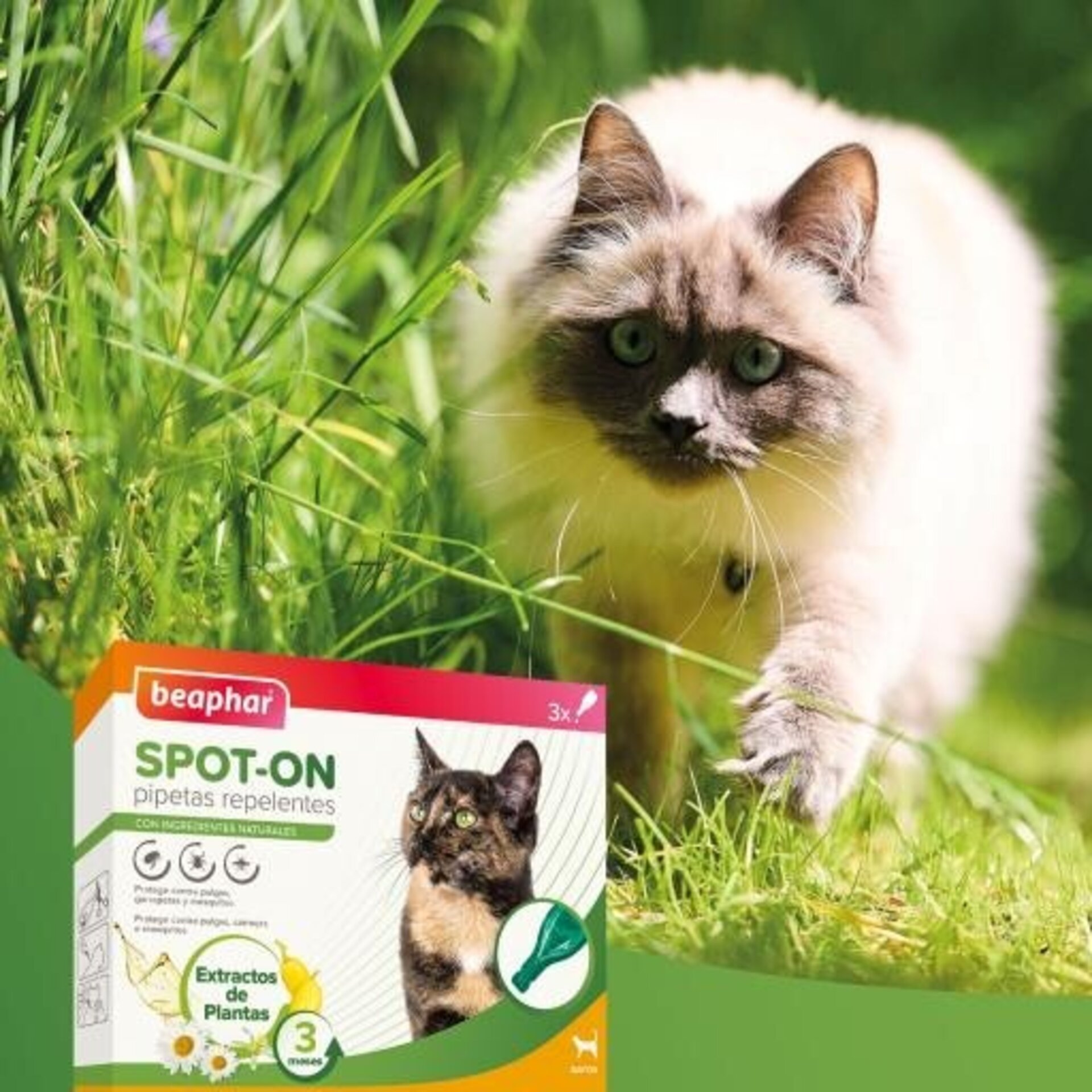 Beaphar Pipetas Spot On Antiparasitario Natural para Gato - 7
